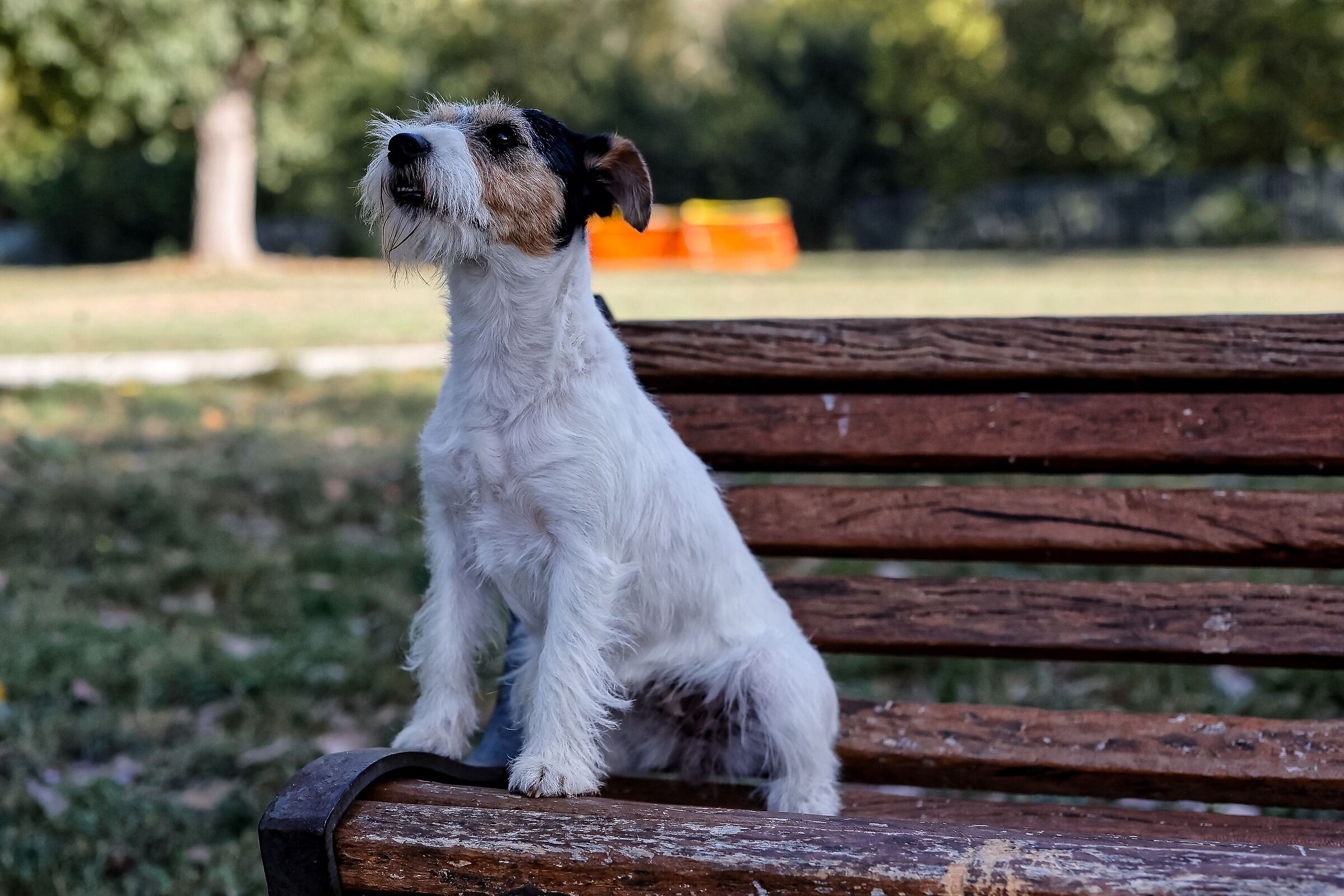 Welcome Estèlle (Elli)