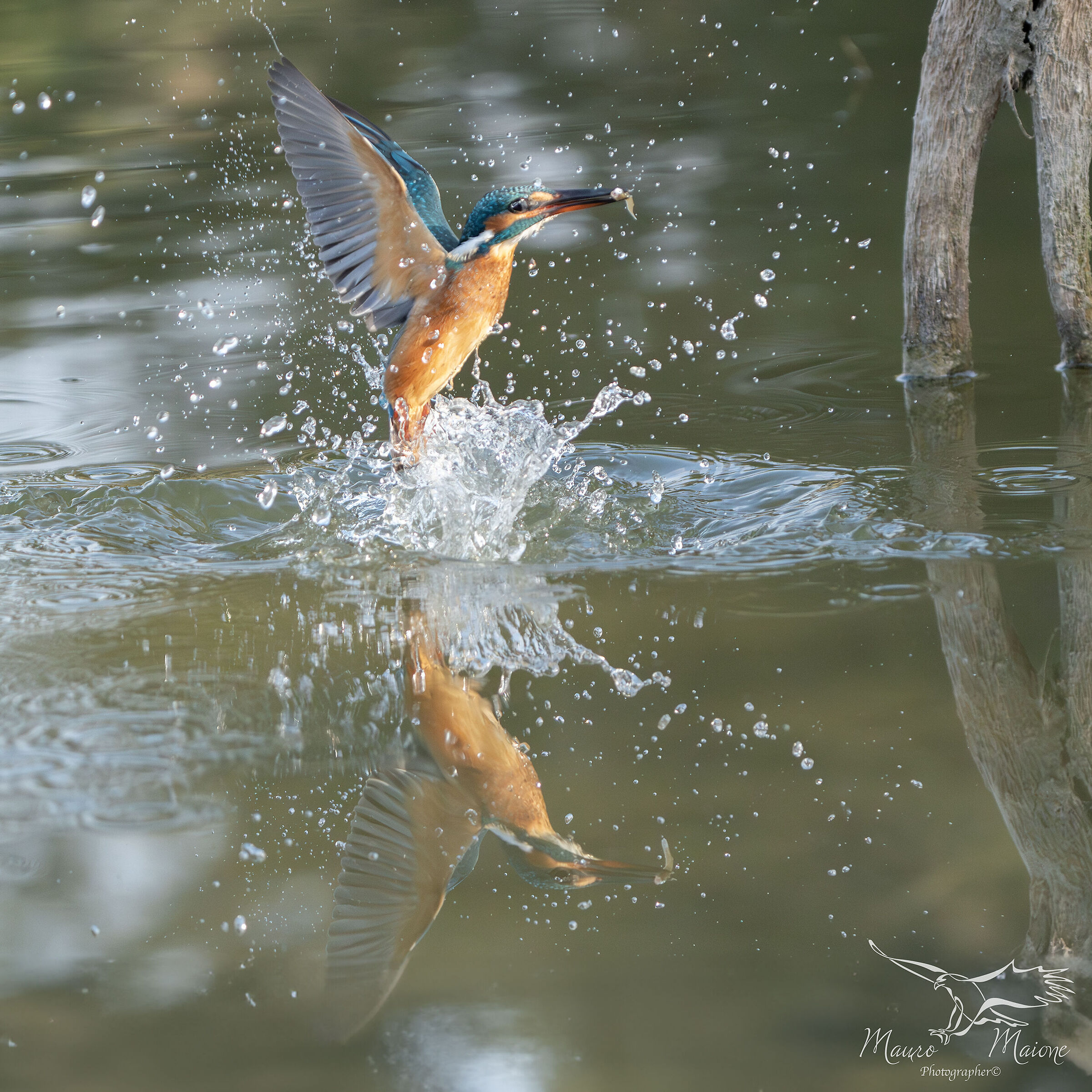 the capture