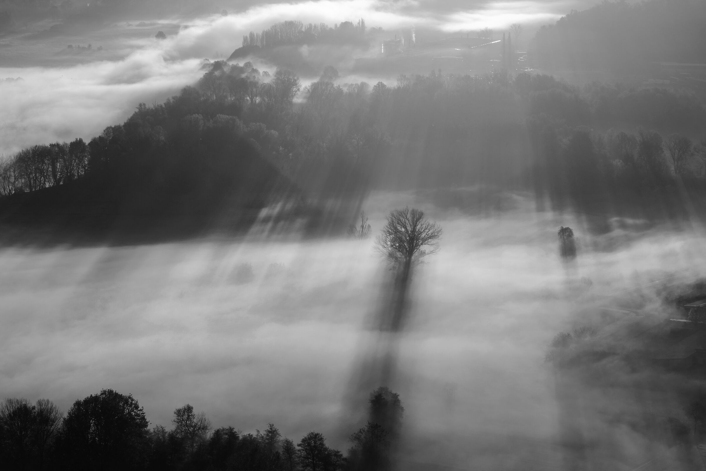 Blades of light