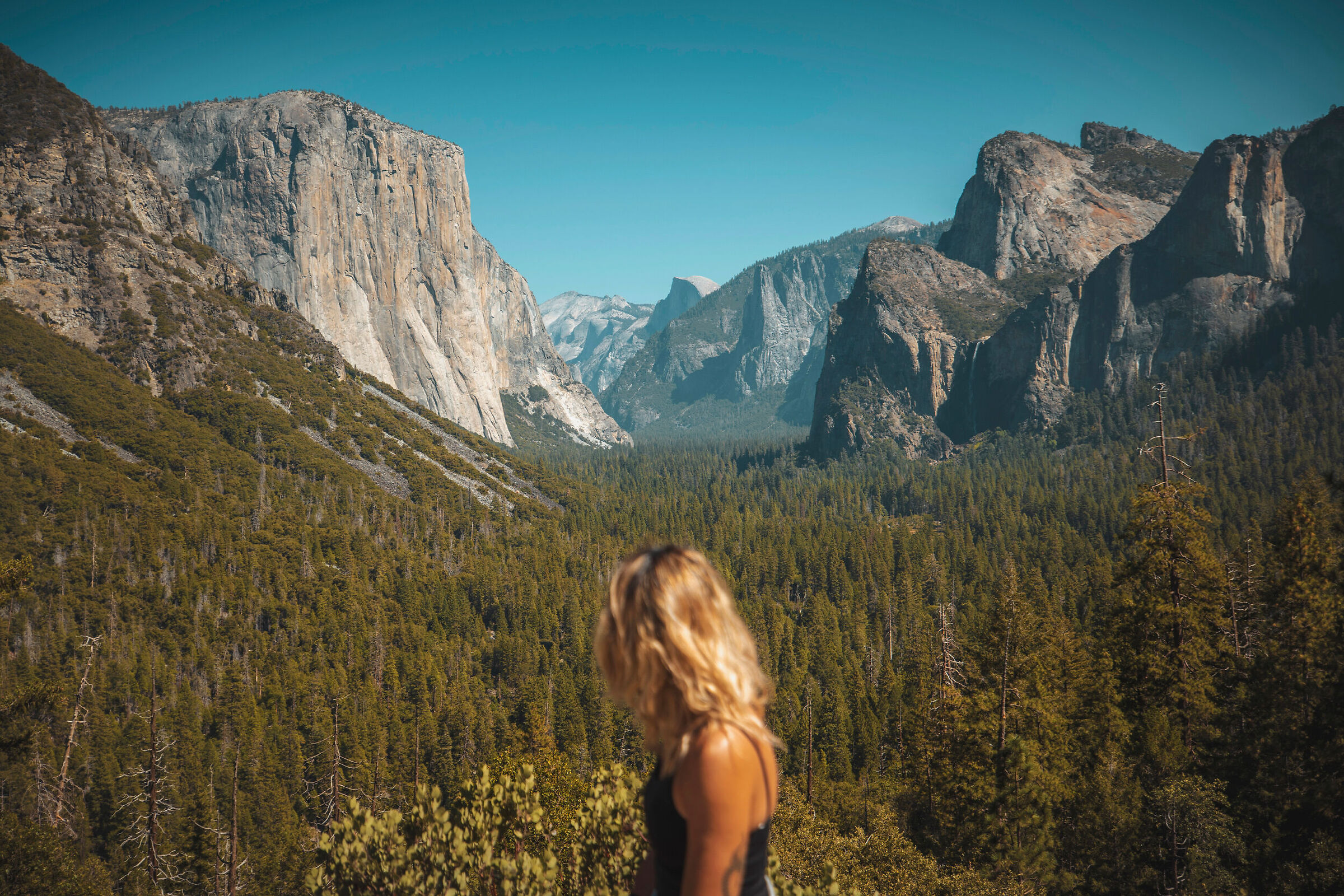 Yosemite - the view