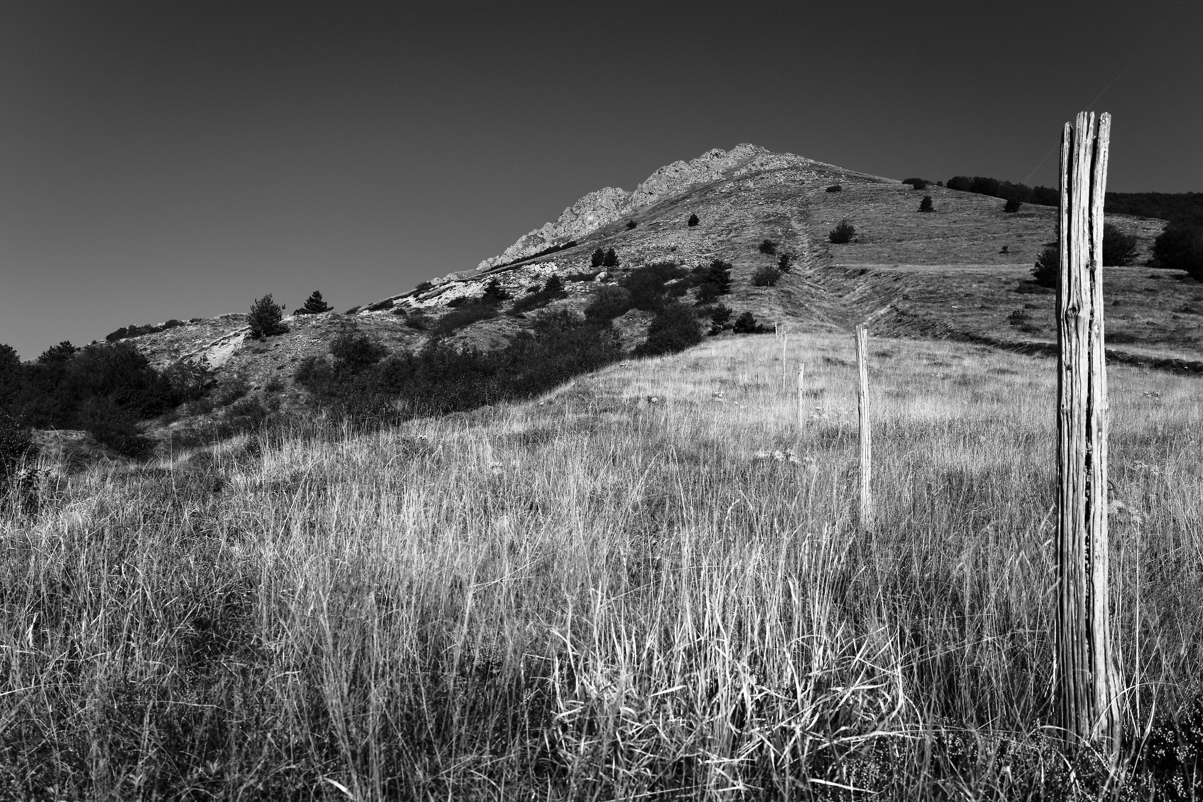 Steccato di confine Monte Alto