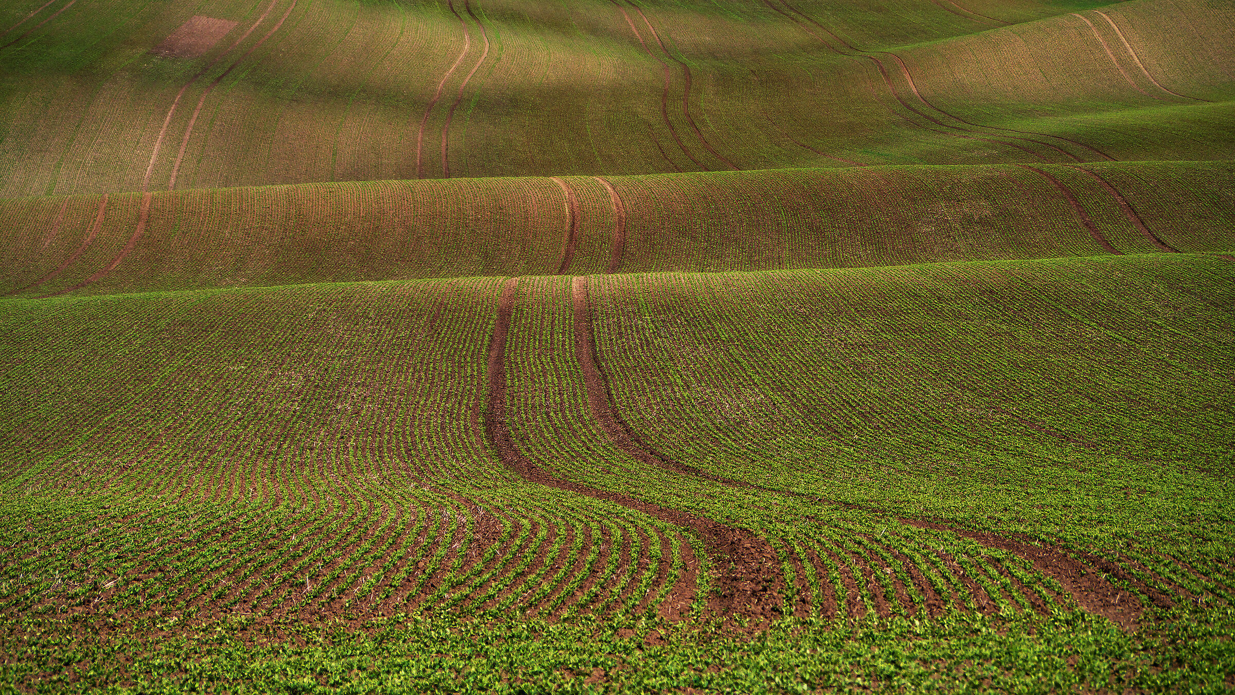Moravian waves