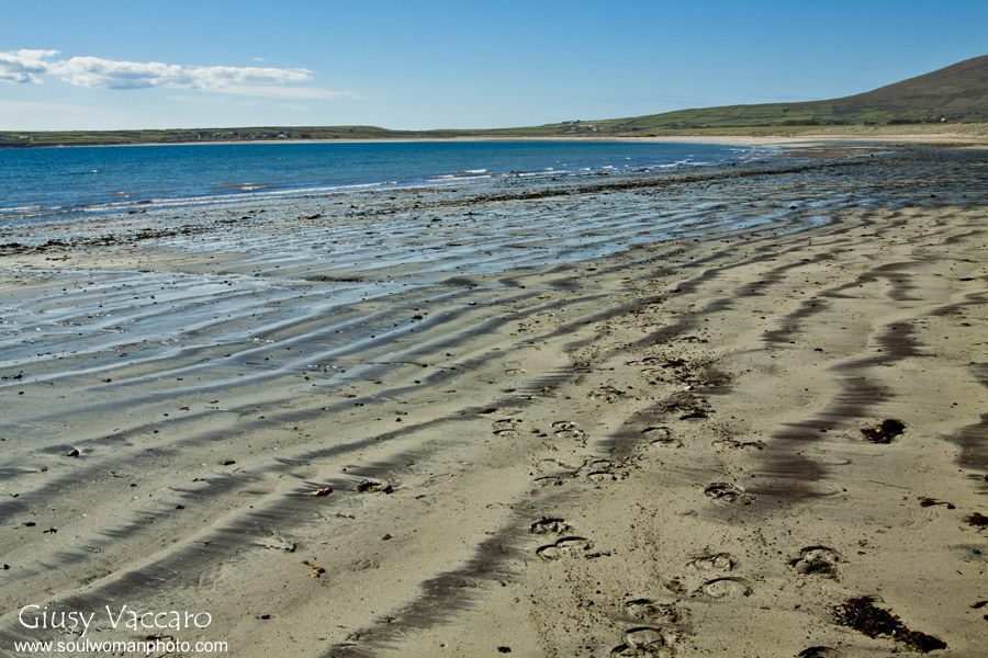 Baia di Inch (Penisola di Dingle)