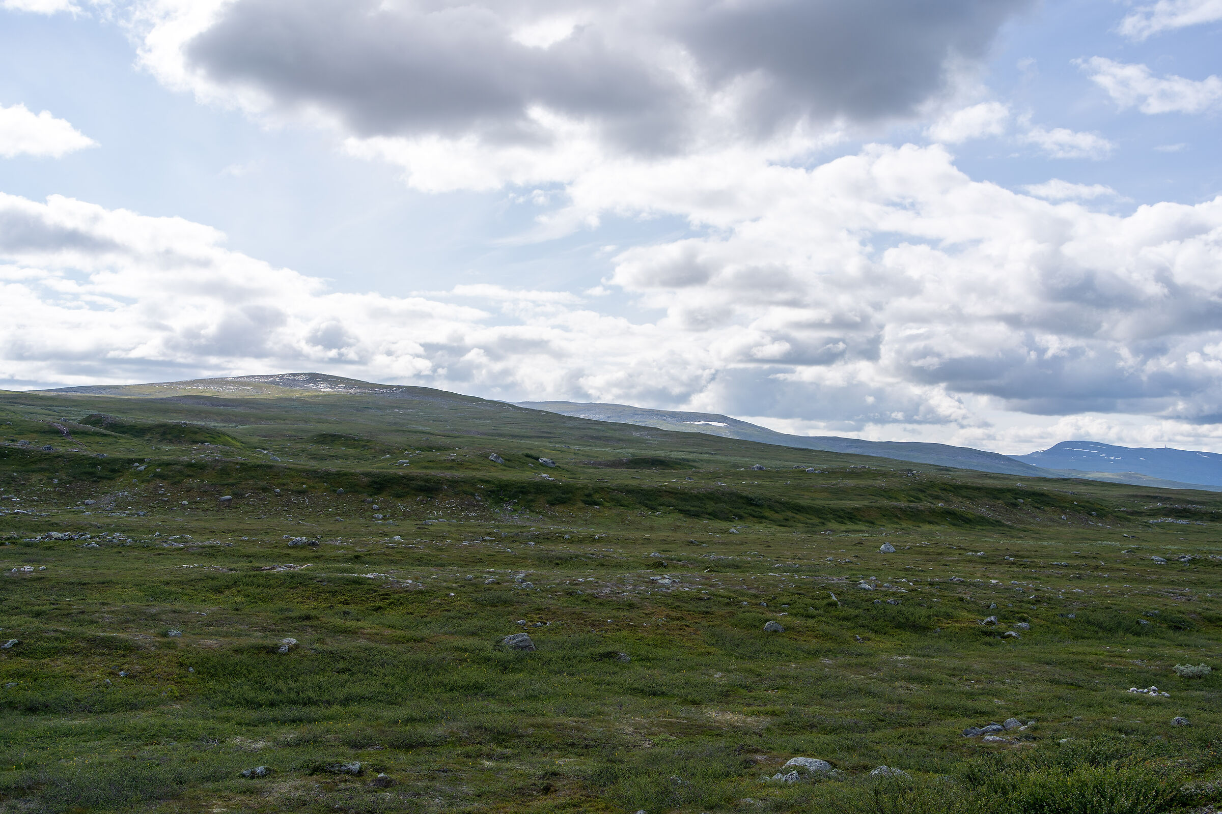 The Polar Circle begins