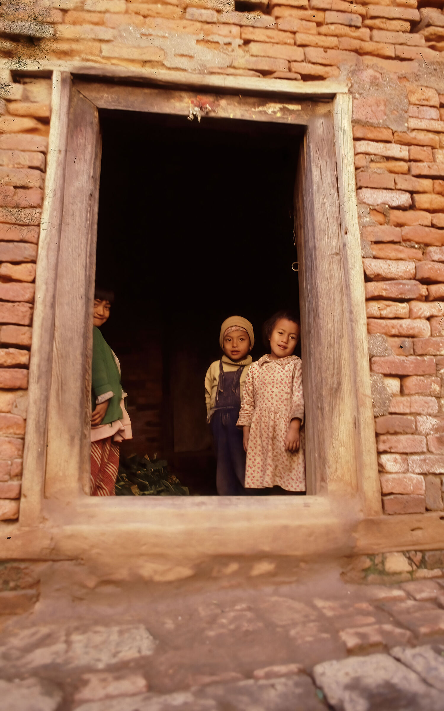 Come on, don't be shy!