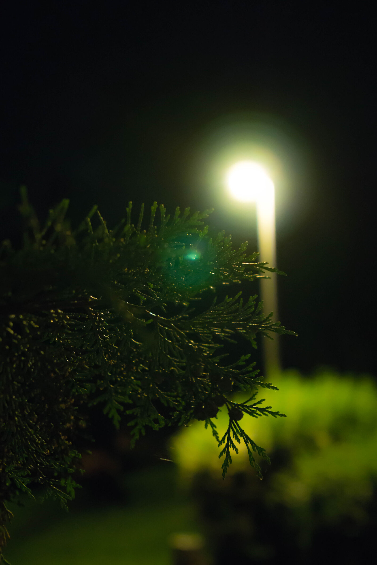 2018, La semplicità di una passeggiata