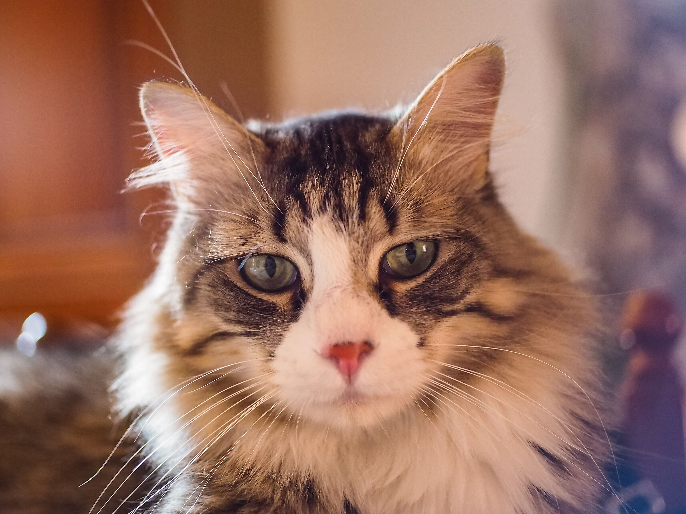 Gladstone