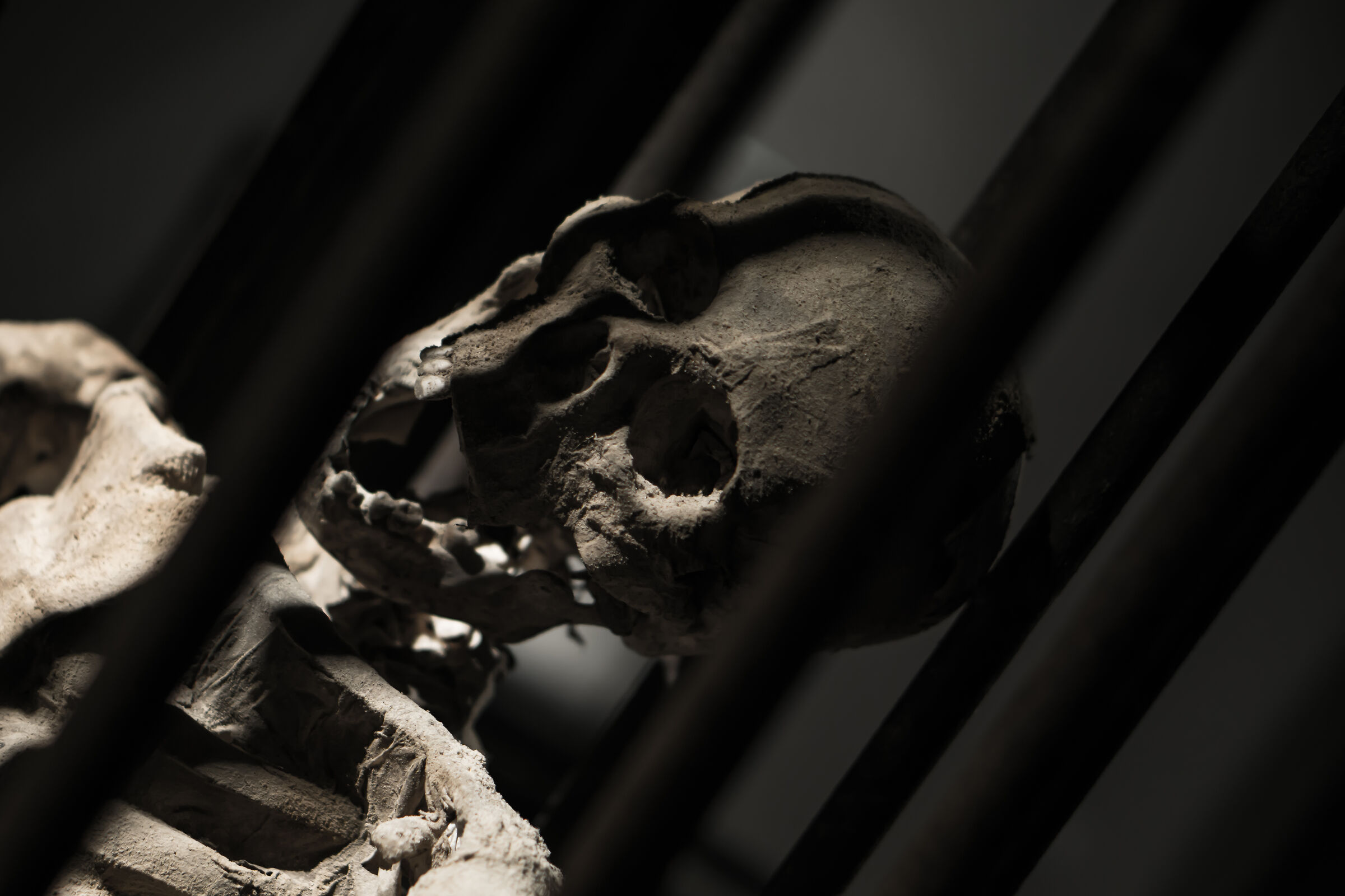 2018, Italia, Venezia, Mostra "Crime and Justice"