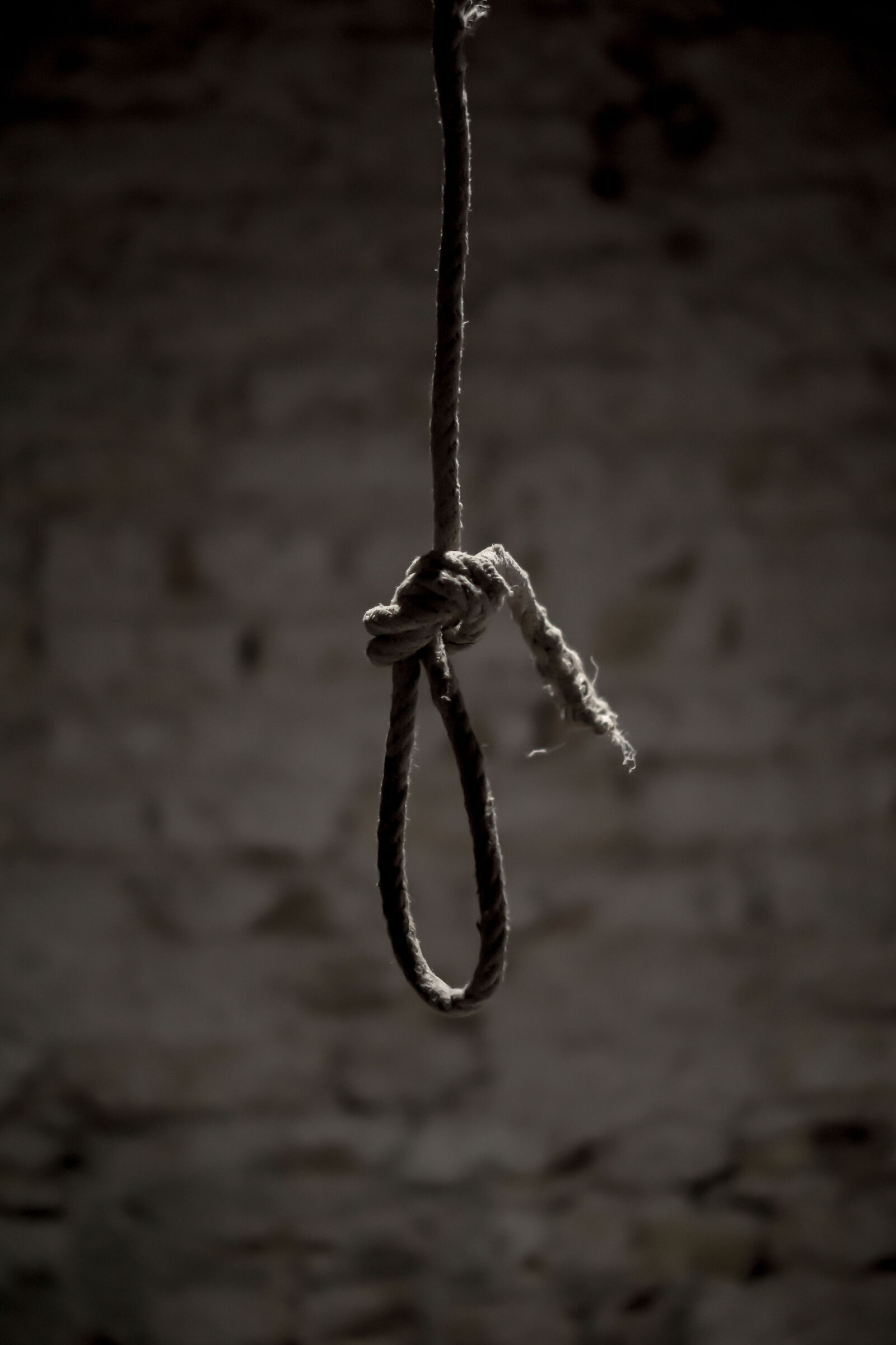 2018, Italia, Venezia, Mostra "Crime and Justice"