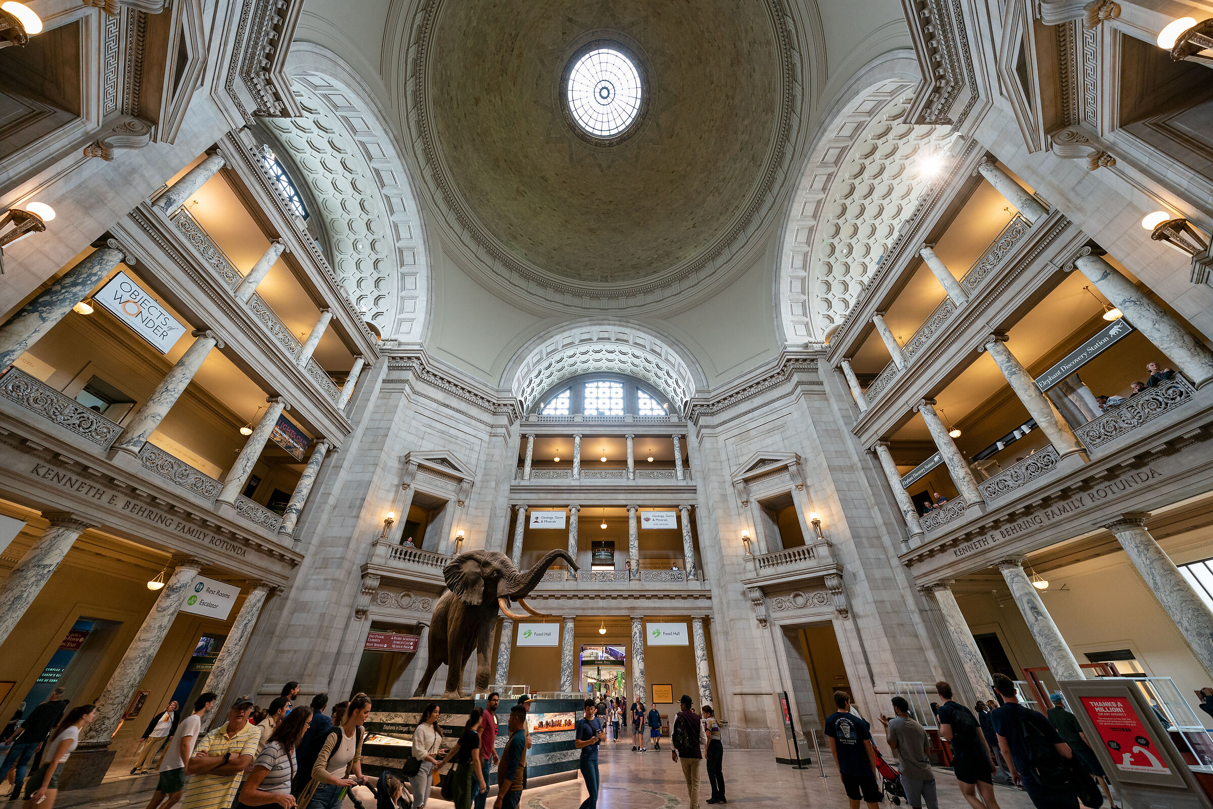 National Museum of Natural History