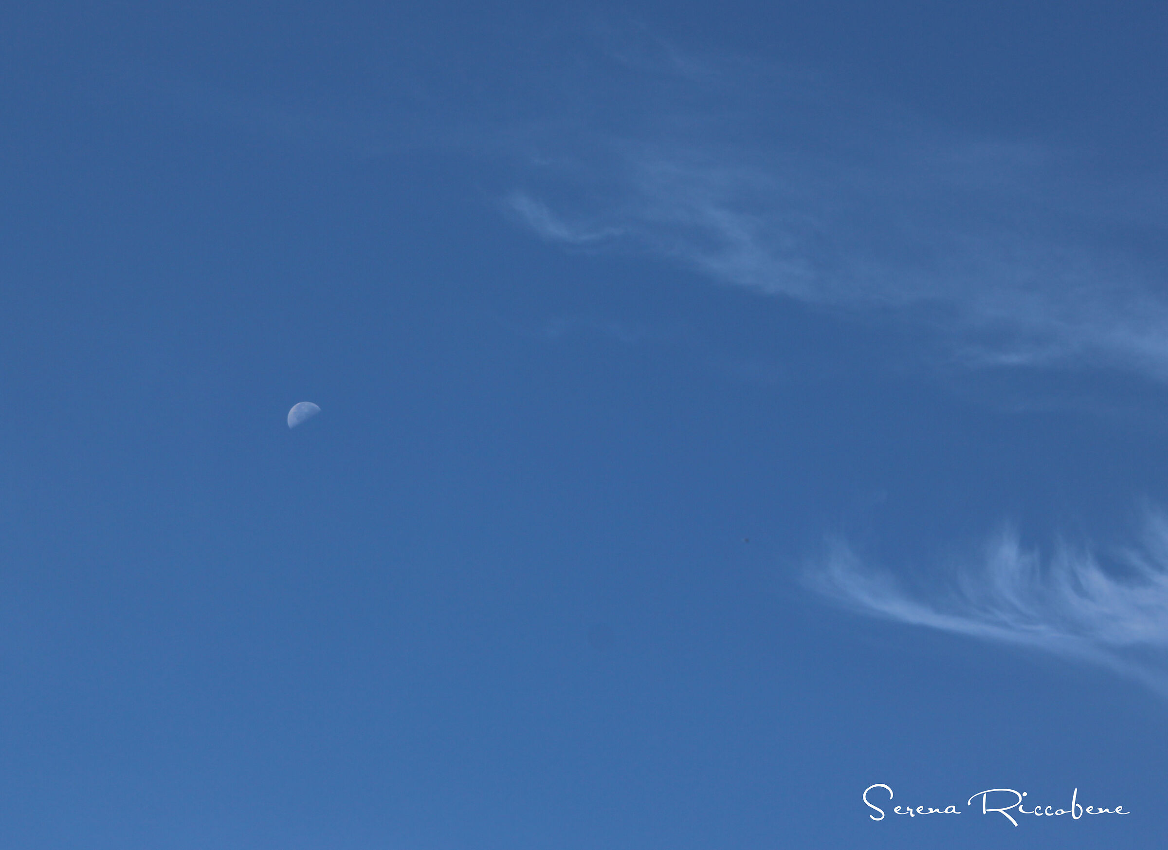 Moon