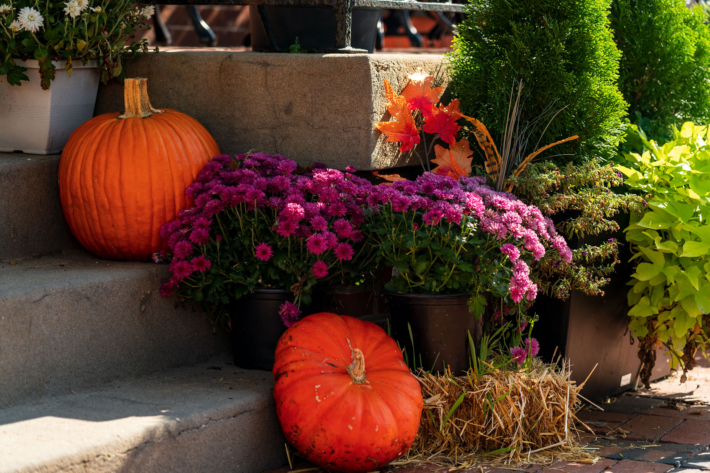 Getting close to Halloween