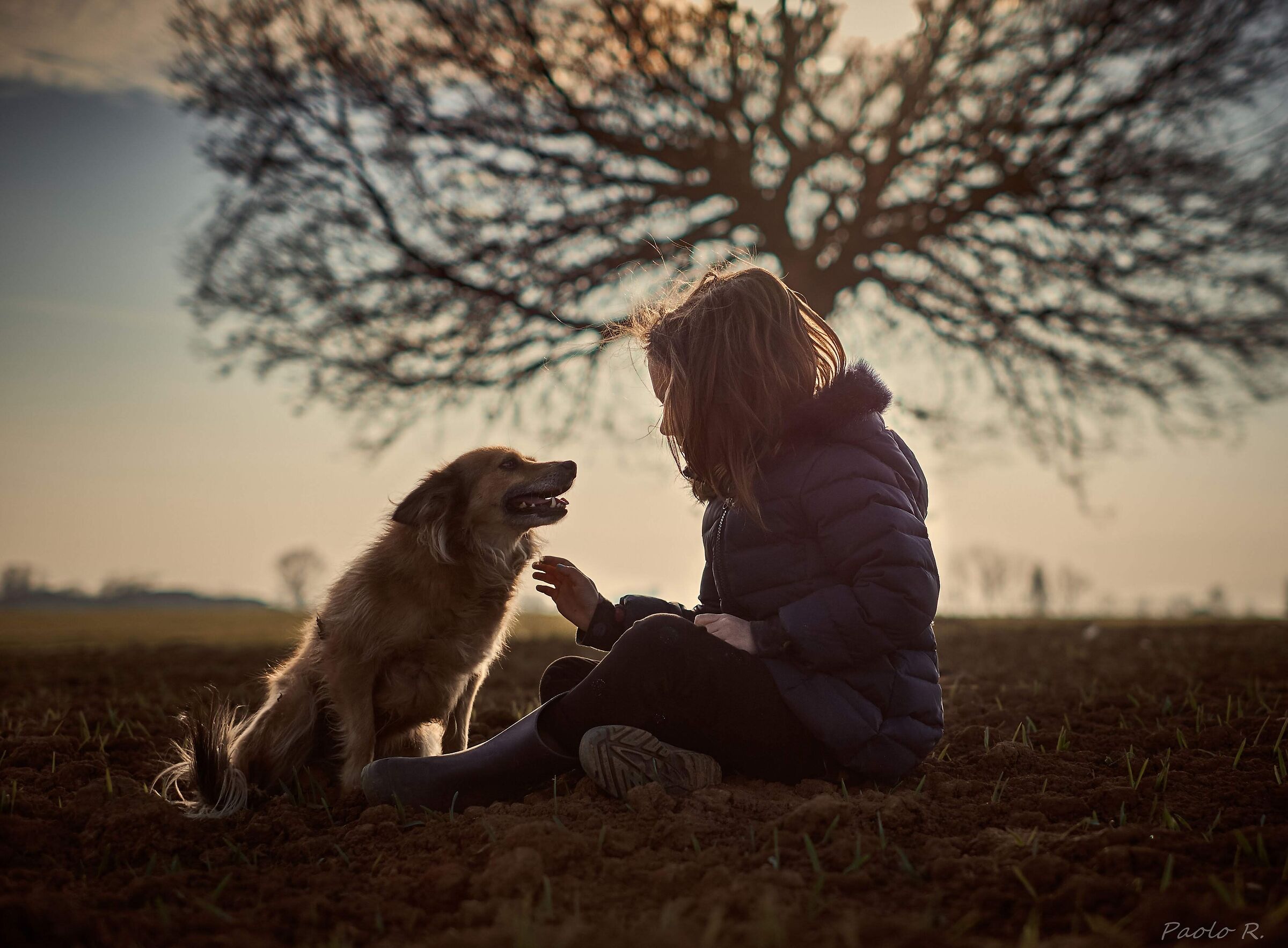 Untitled Photo