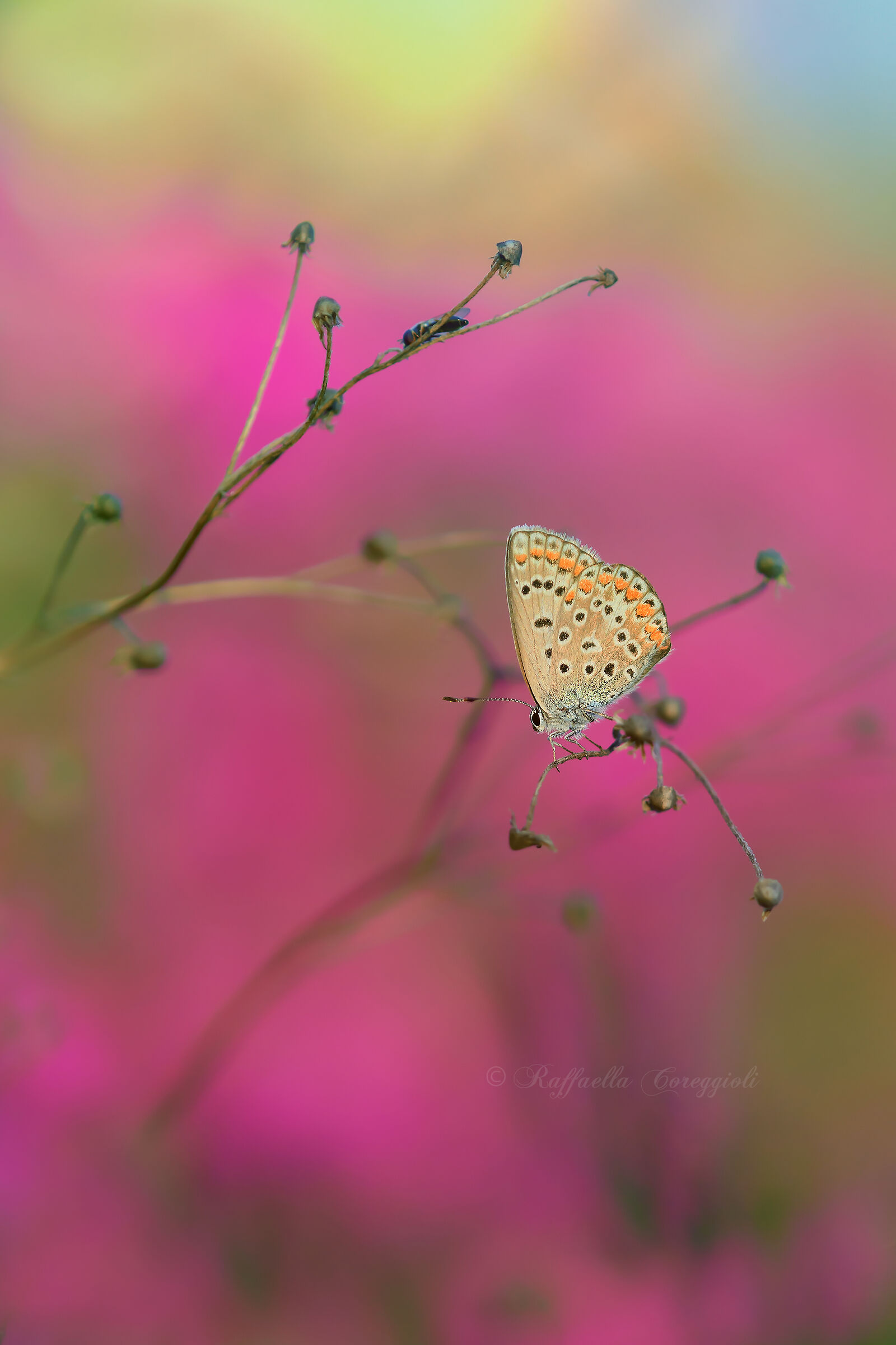 Autumn does not leave indifferent....