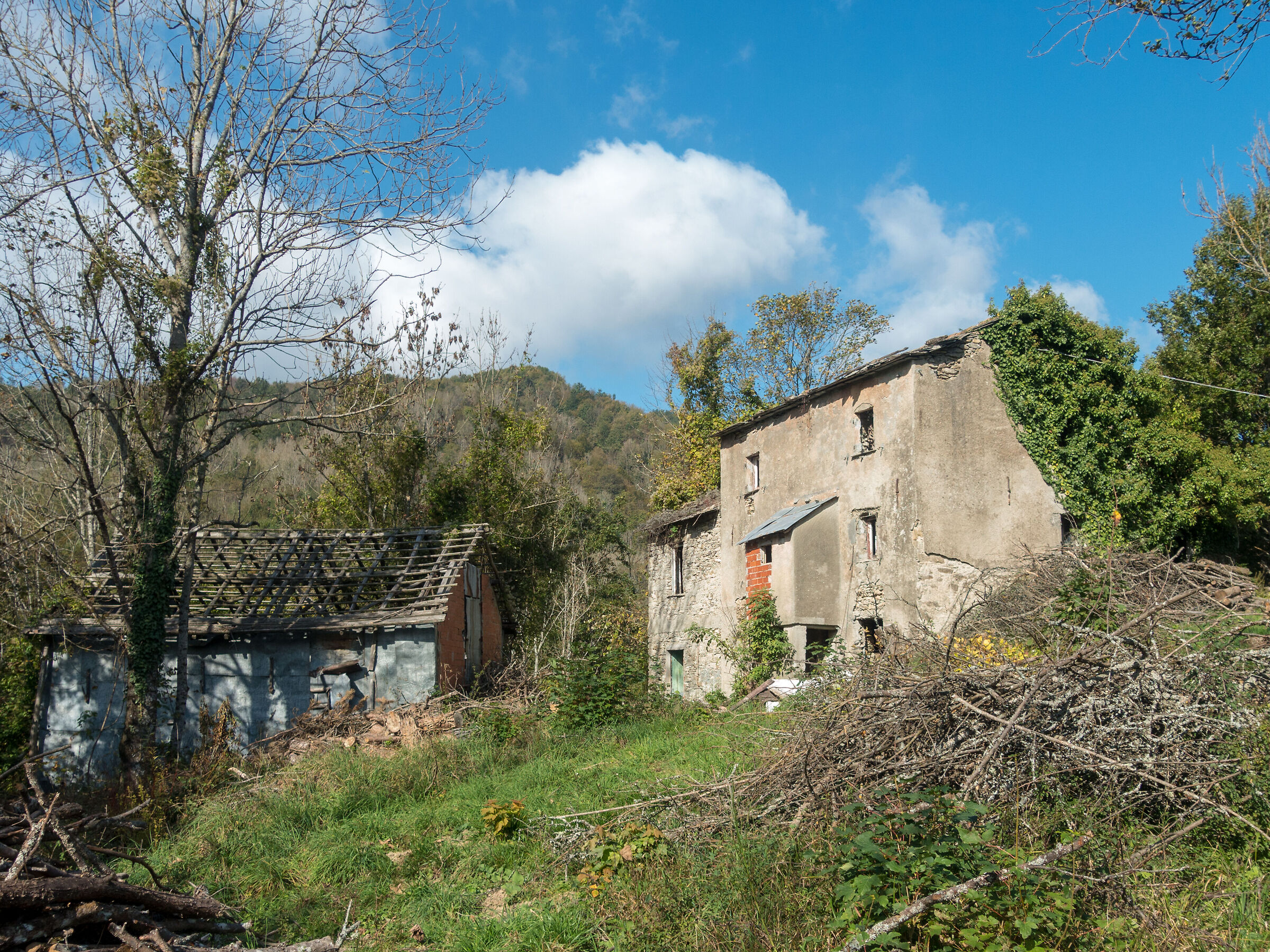 Trebbie Burche (Torriglia)
