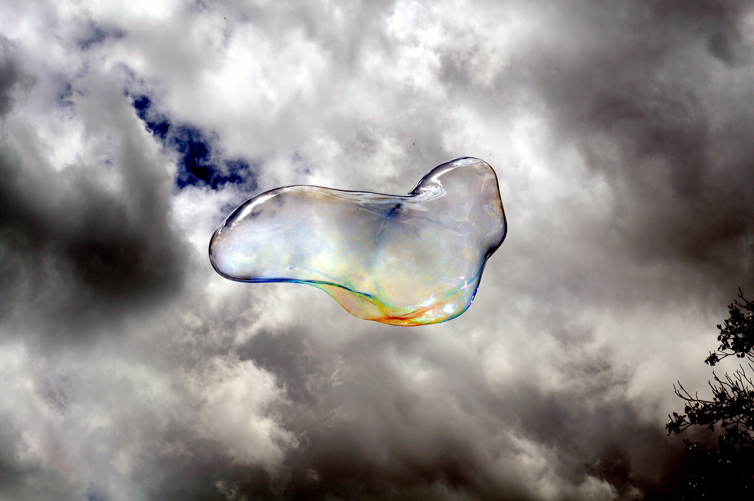 bolle di sapone, libertà di volare