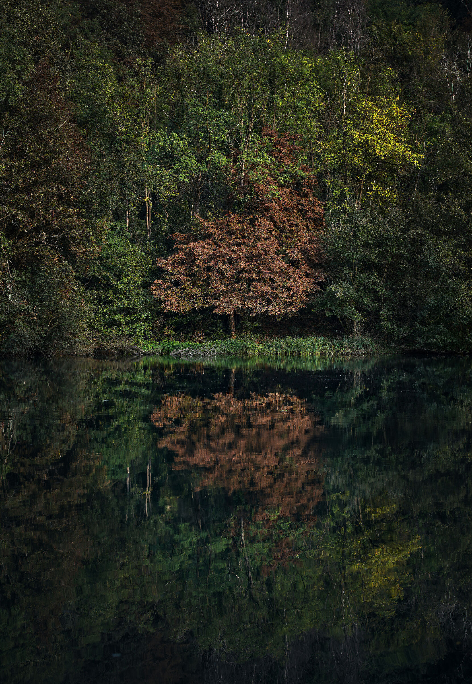 11 October Paderno 2