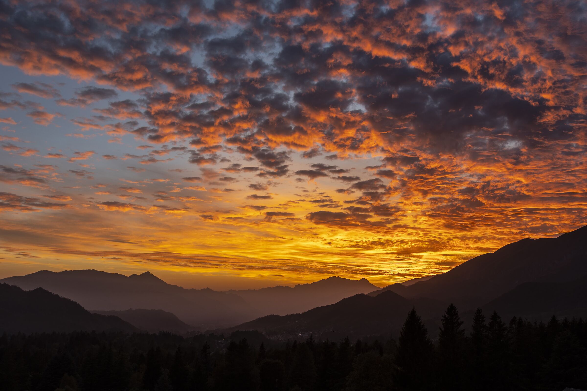 Autumn... for now only in the colors of the sunset