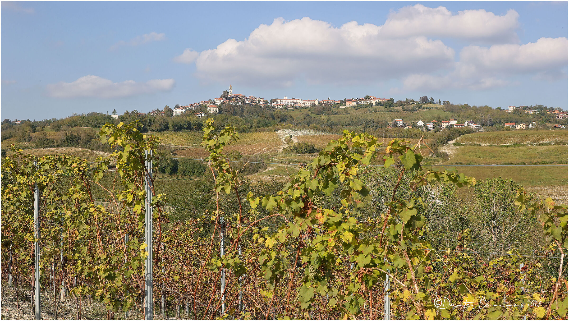 Albugnano and its vines