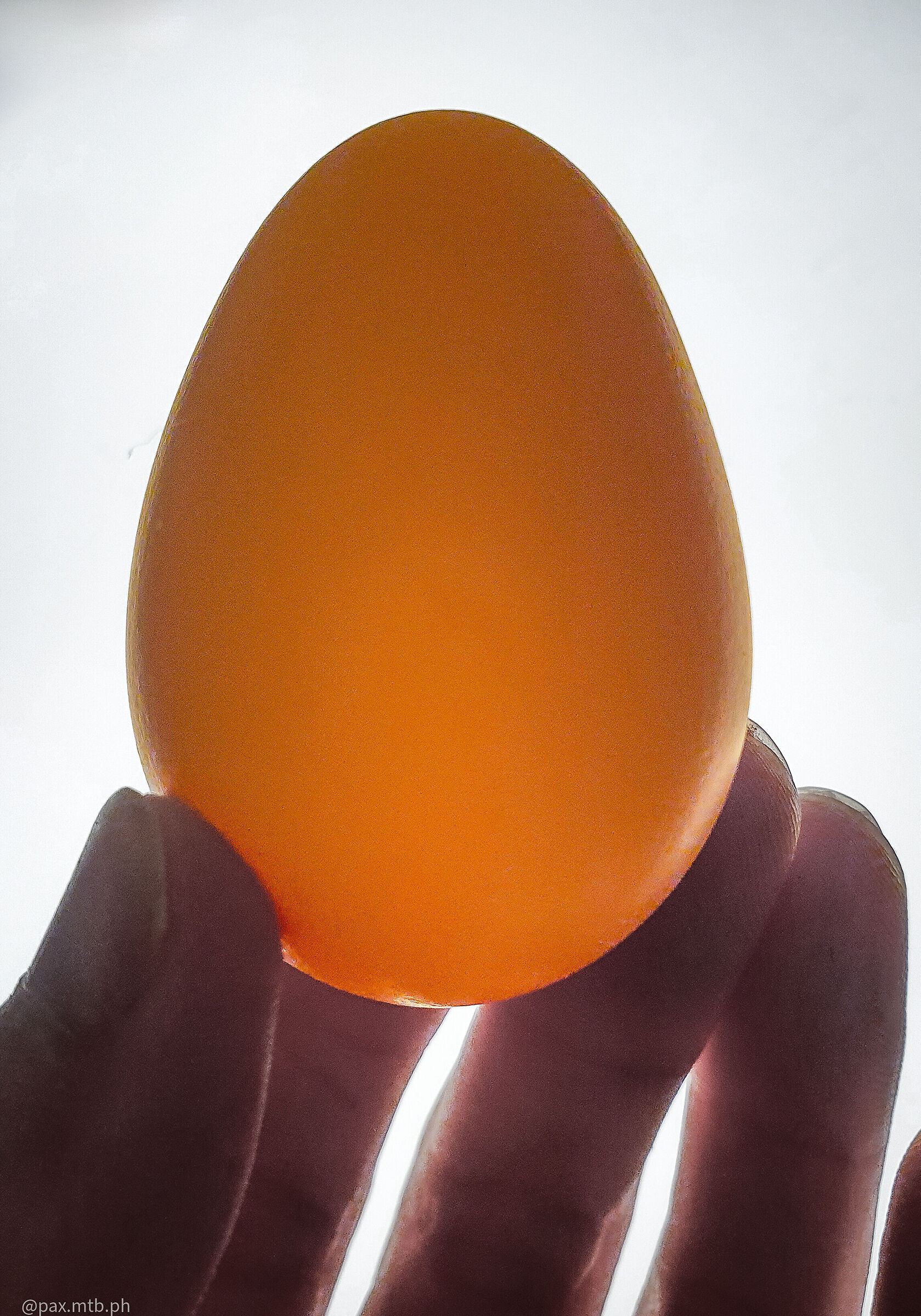 The first egg