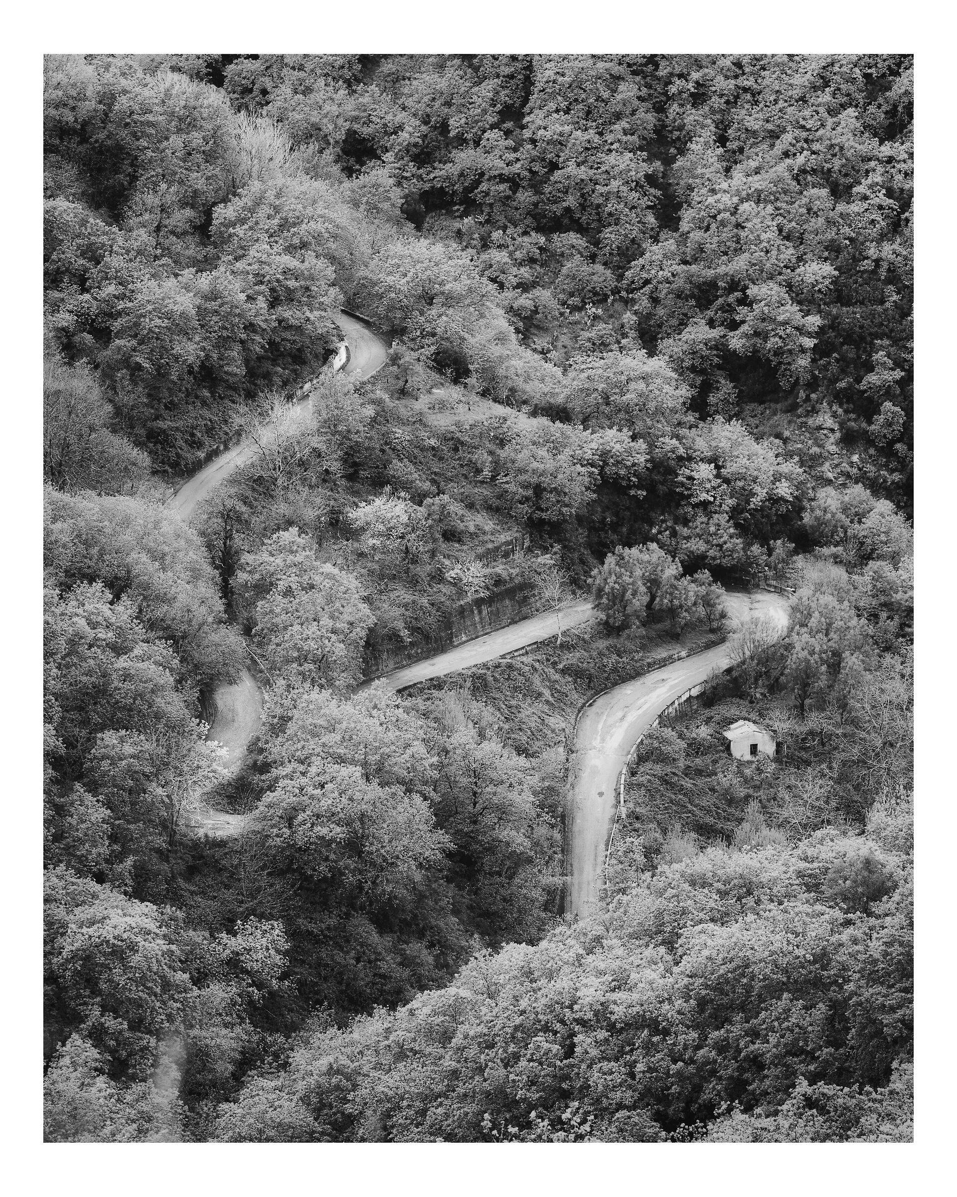 The road - 2