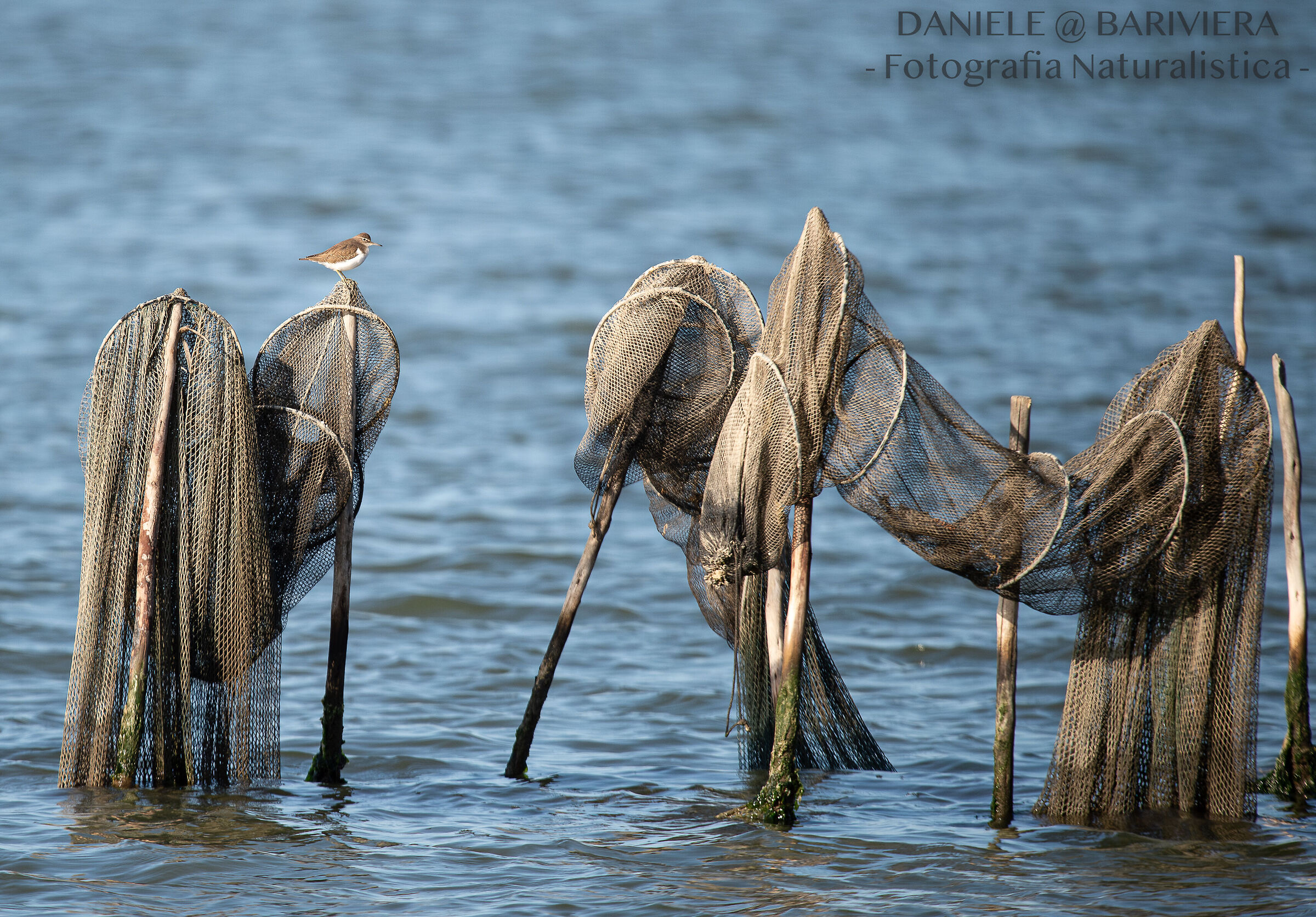 Piro piro piccolo ambientato
