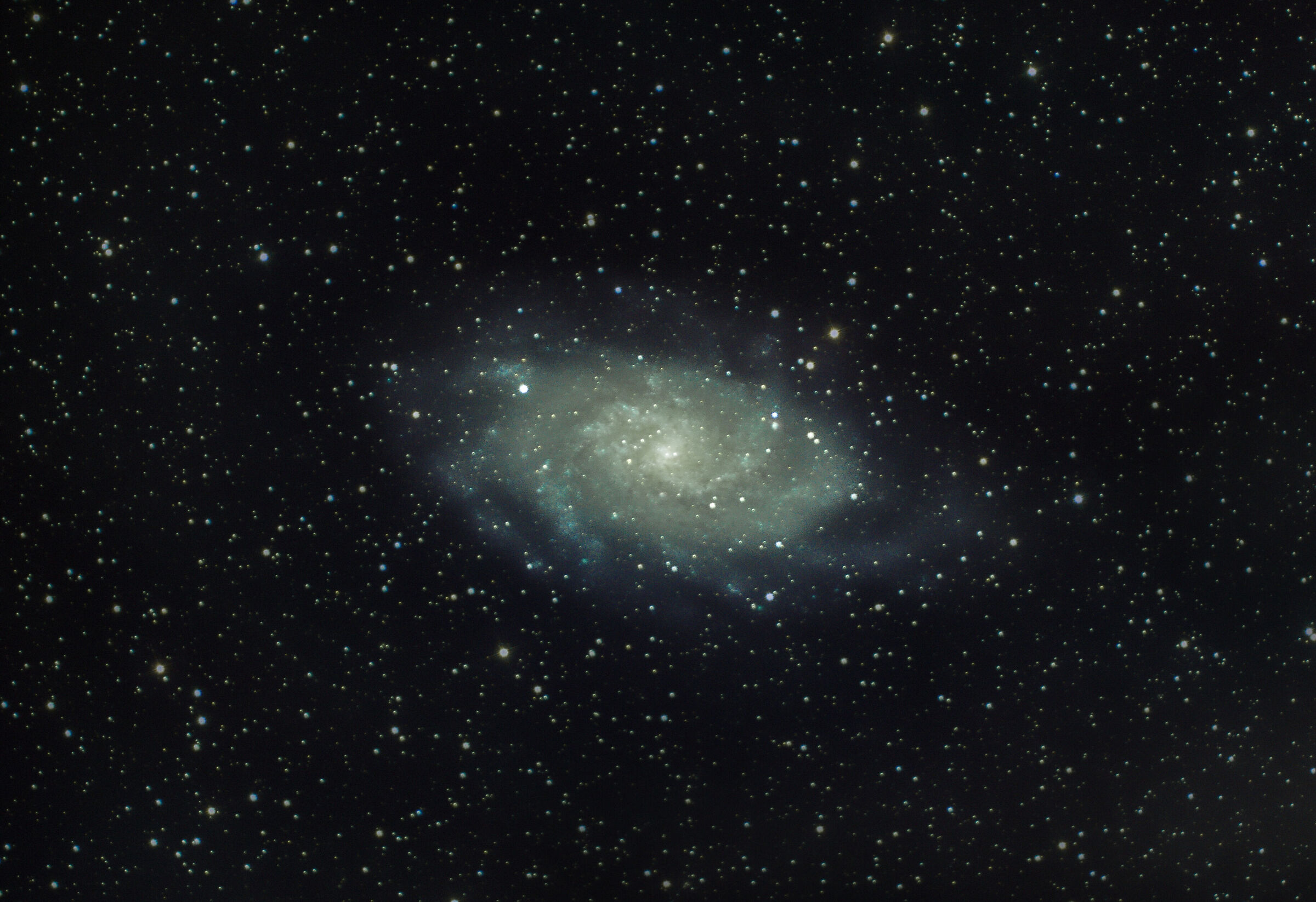 M33