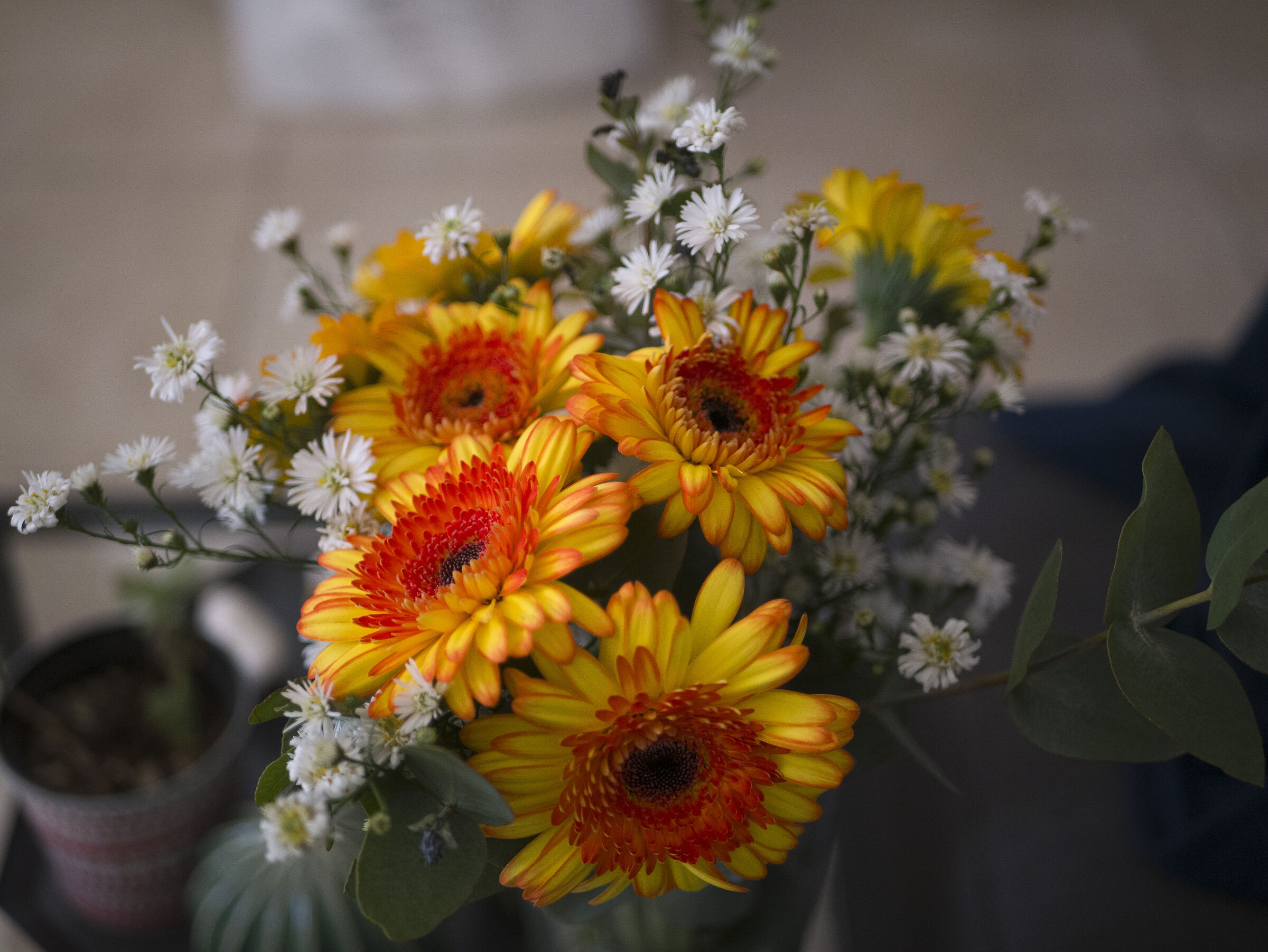 That mazzolin of flowers