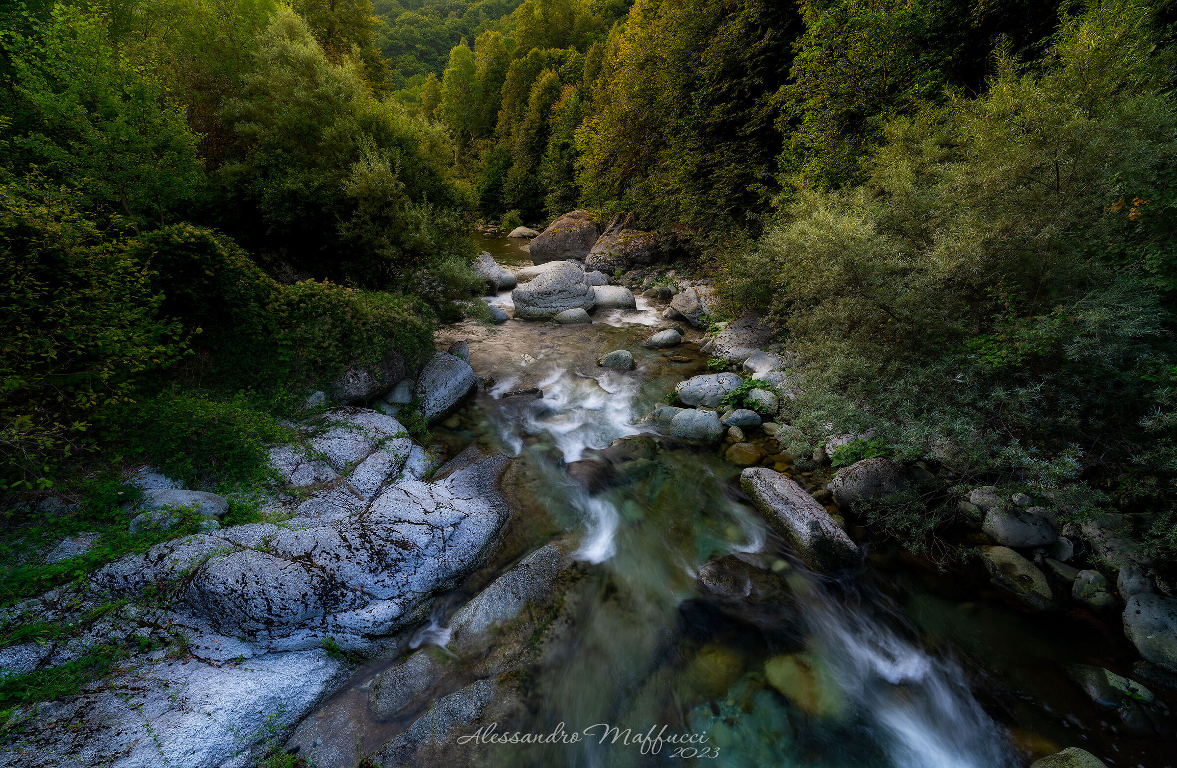 First lights on the stream