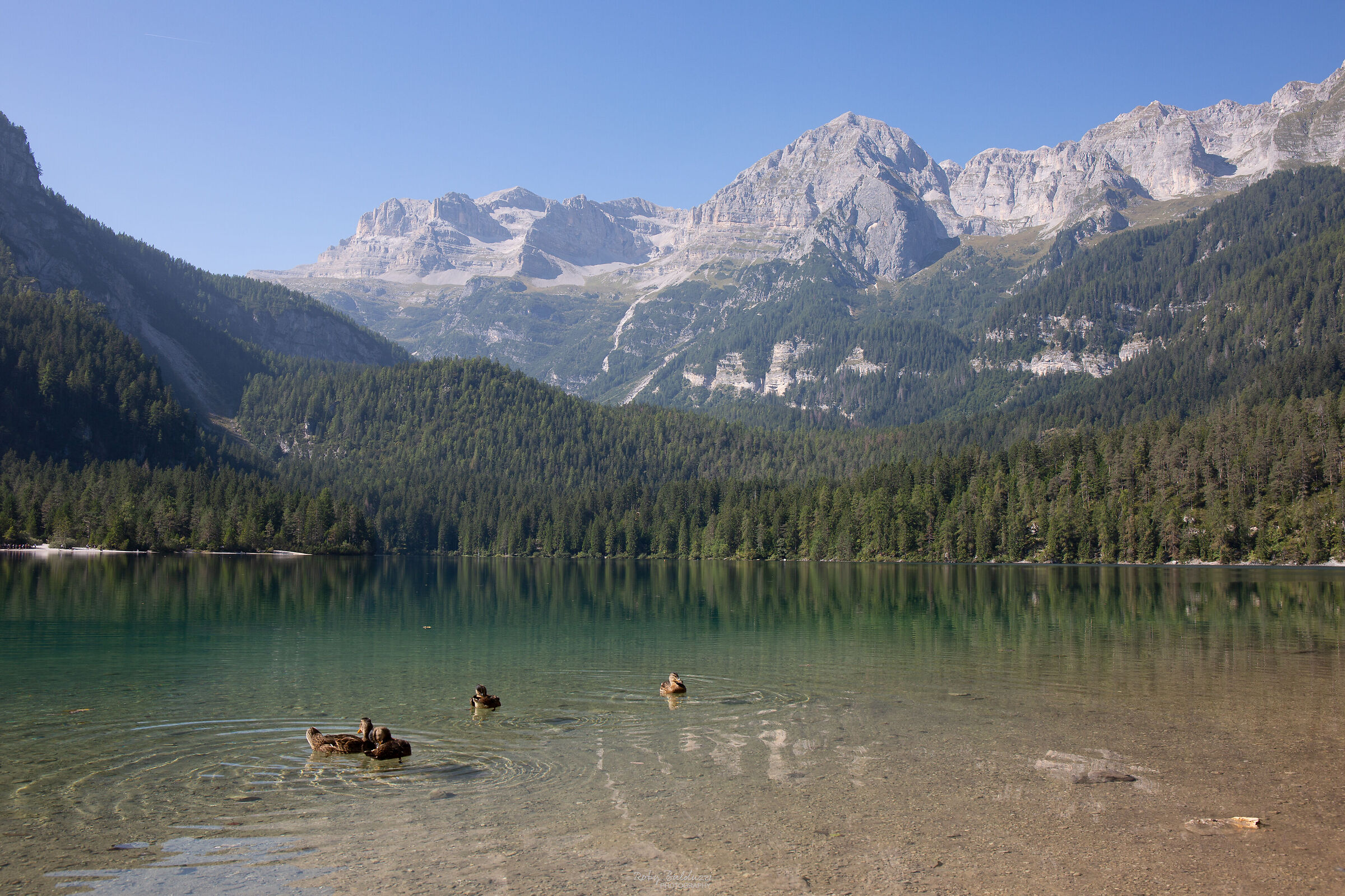 Lake Tovel