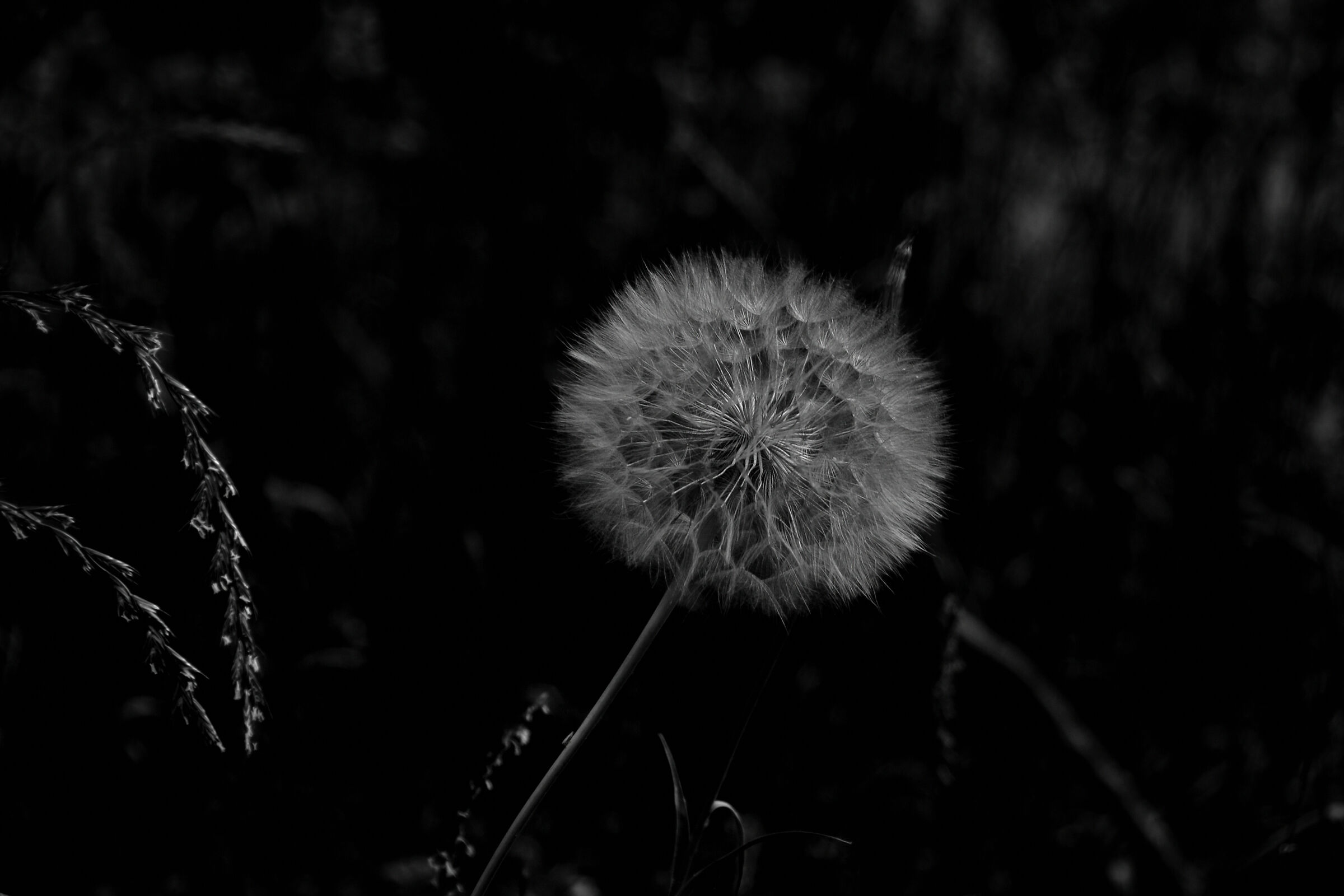 A moment before the winds of war...