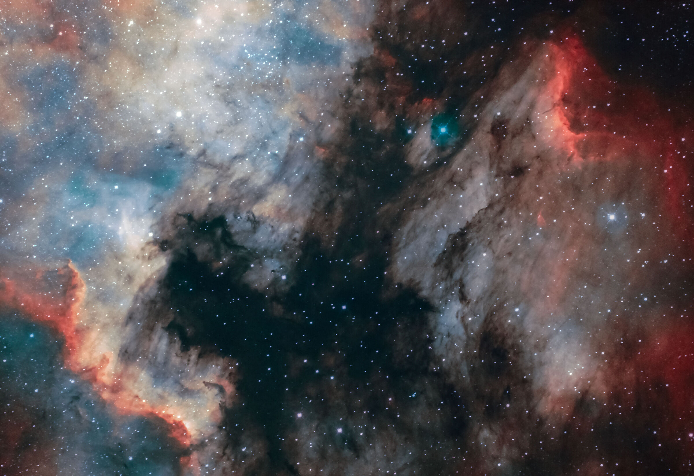 Swan and Pelican in narrow band