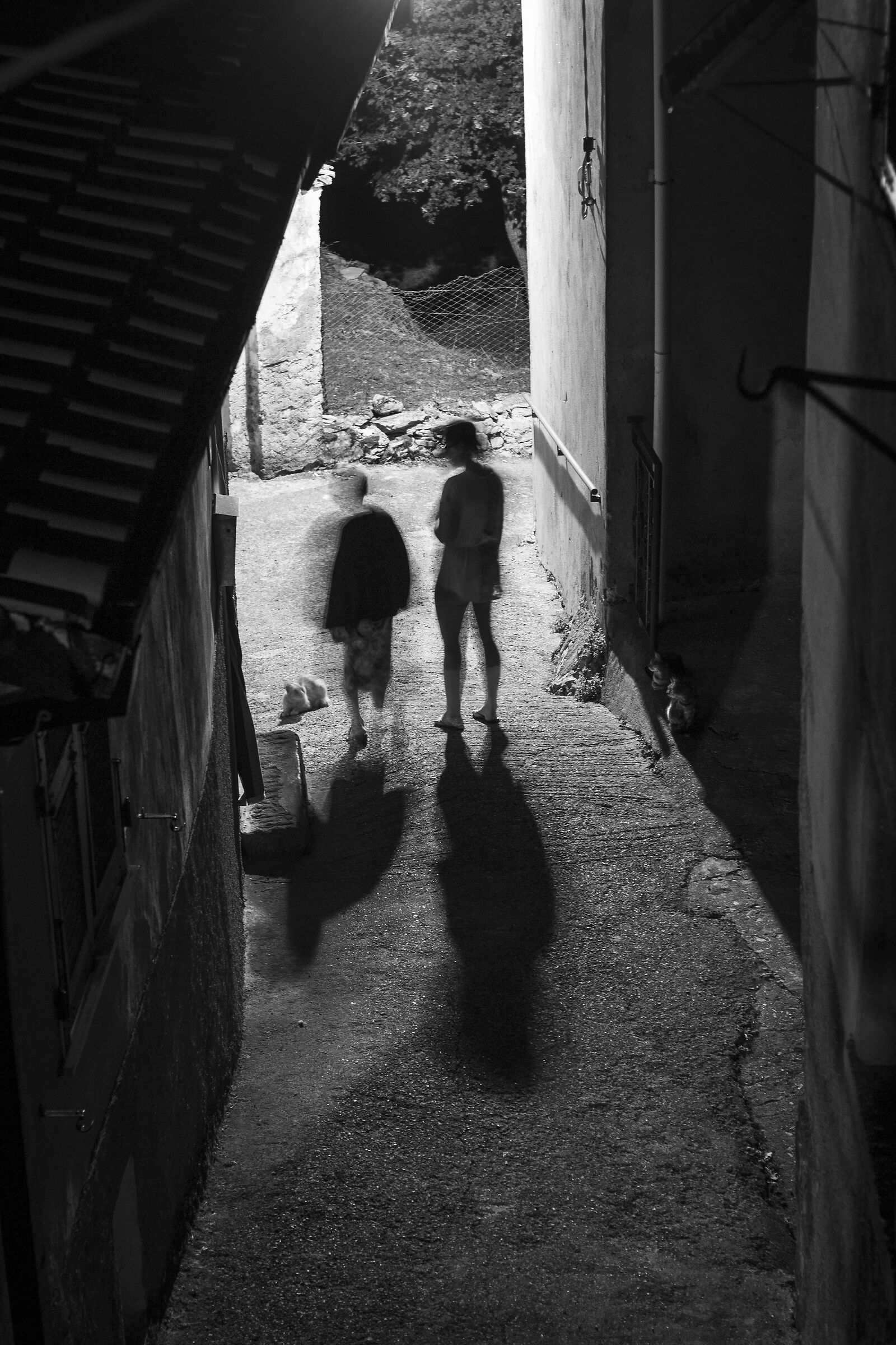 Night alley "in motion"