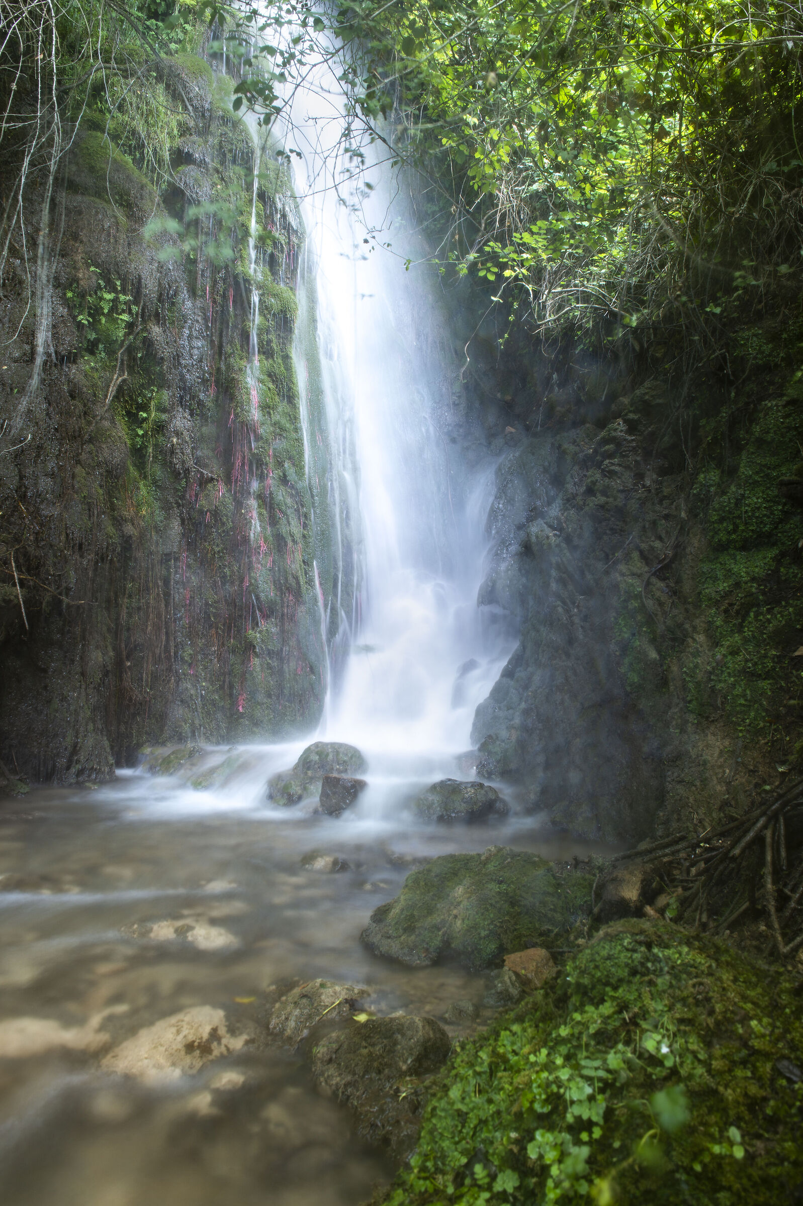 Cascata umbra - 2023