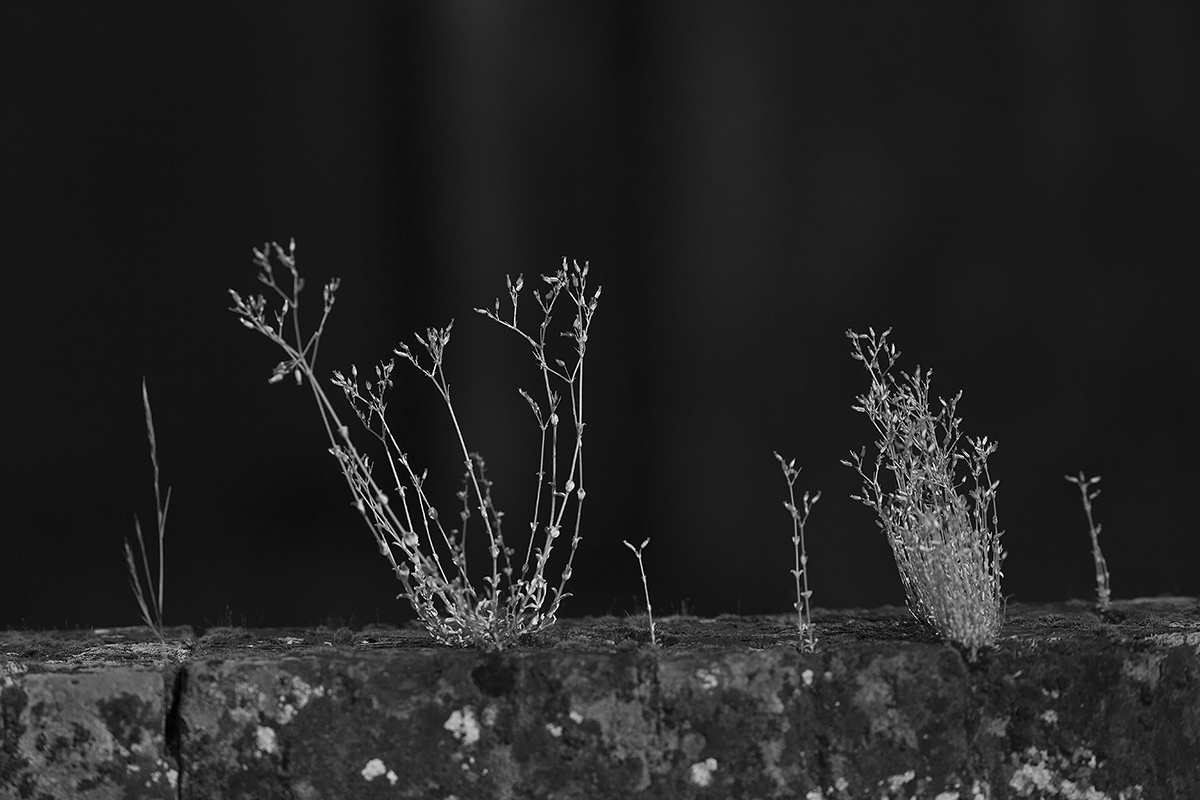 Resist, resist, resist!