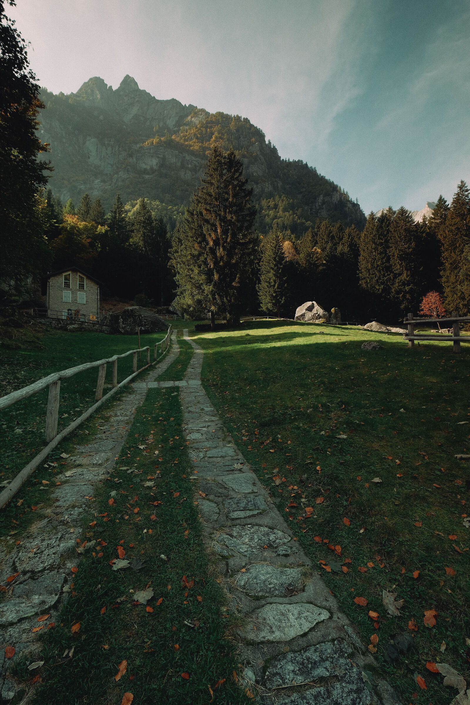 Untitled Photo