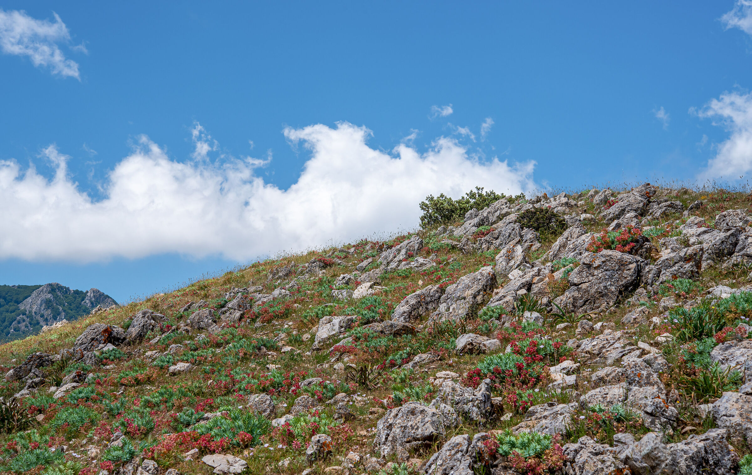 A painting? No, simply the Madonie