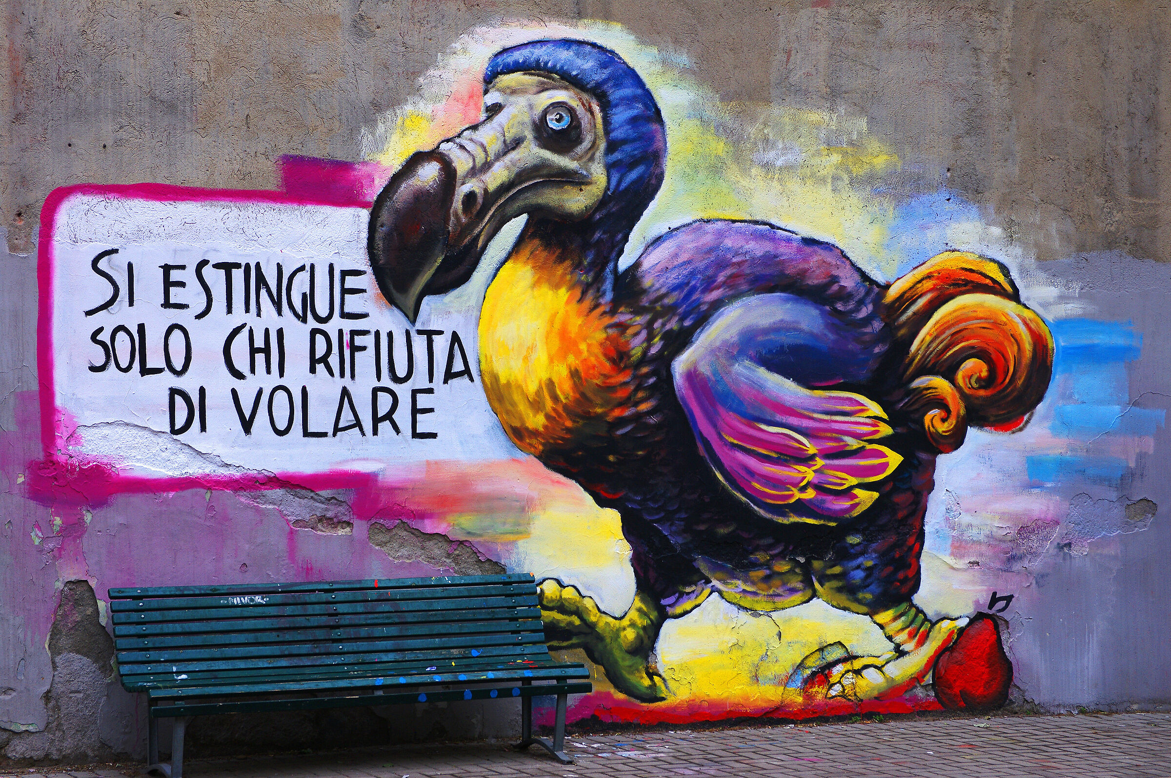 Dodo