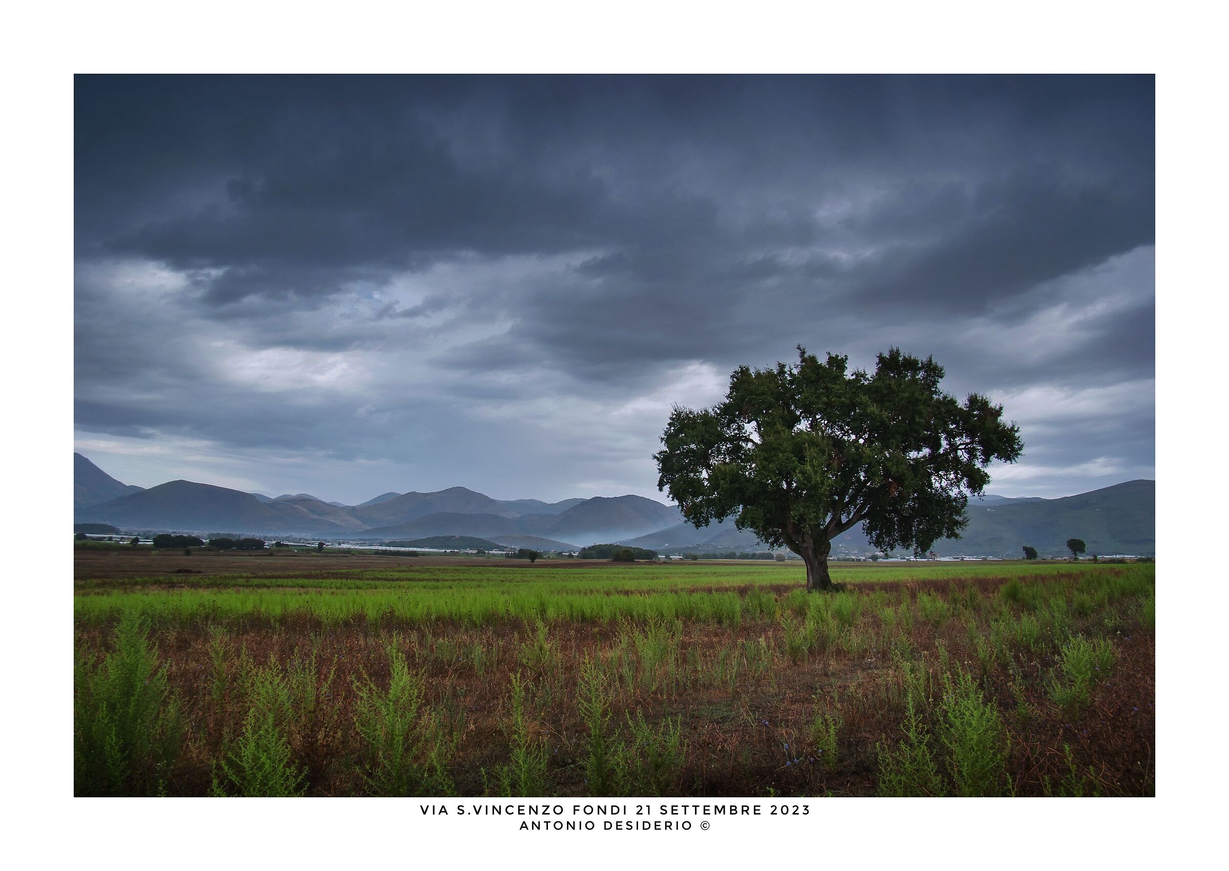 On a rainy morning...