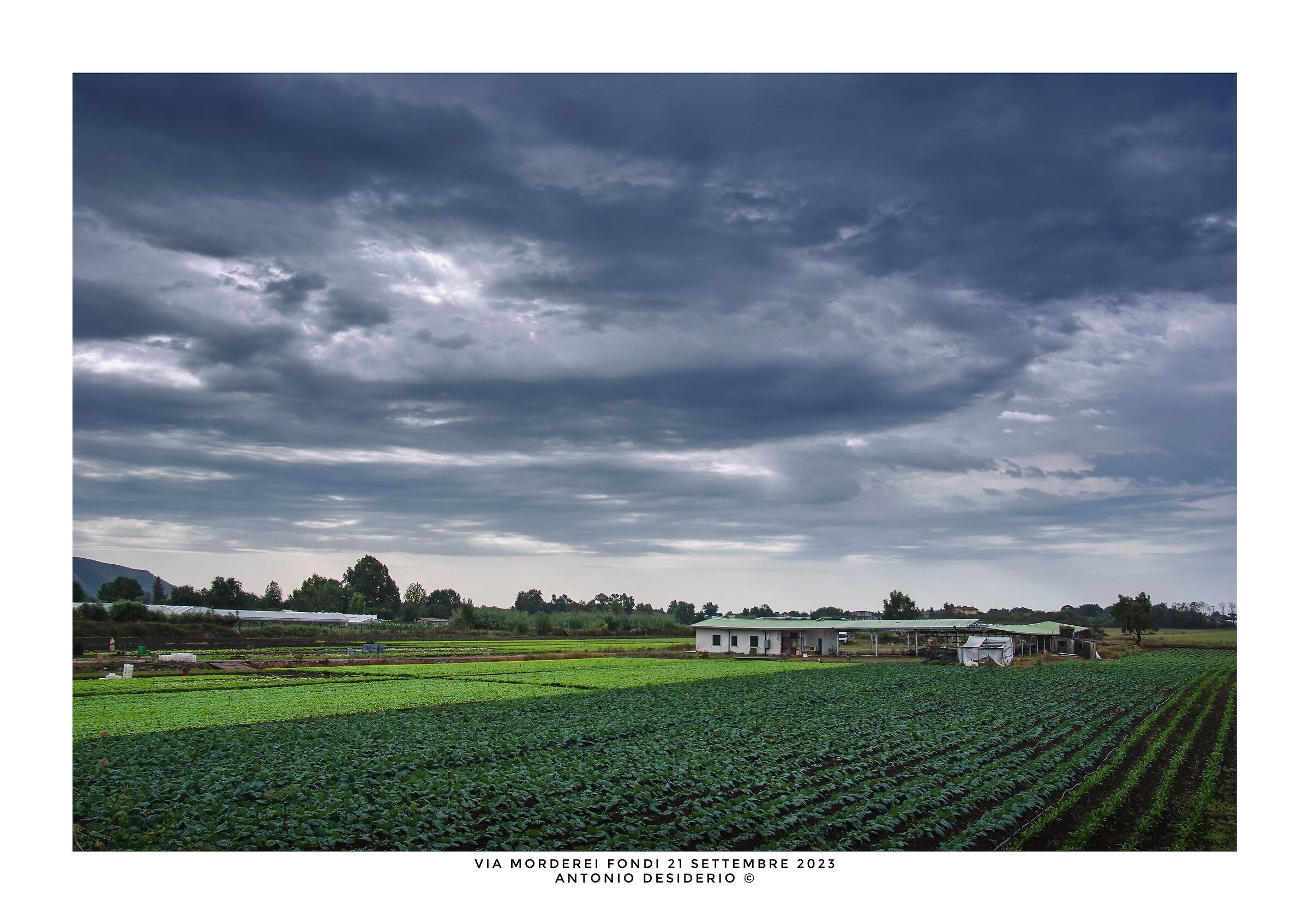 On a morning of rain