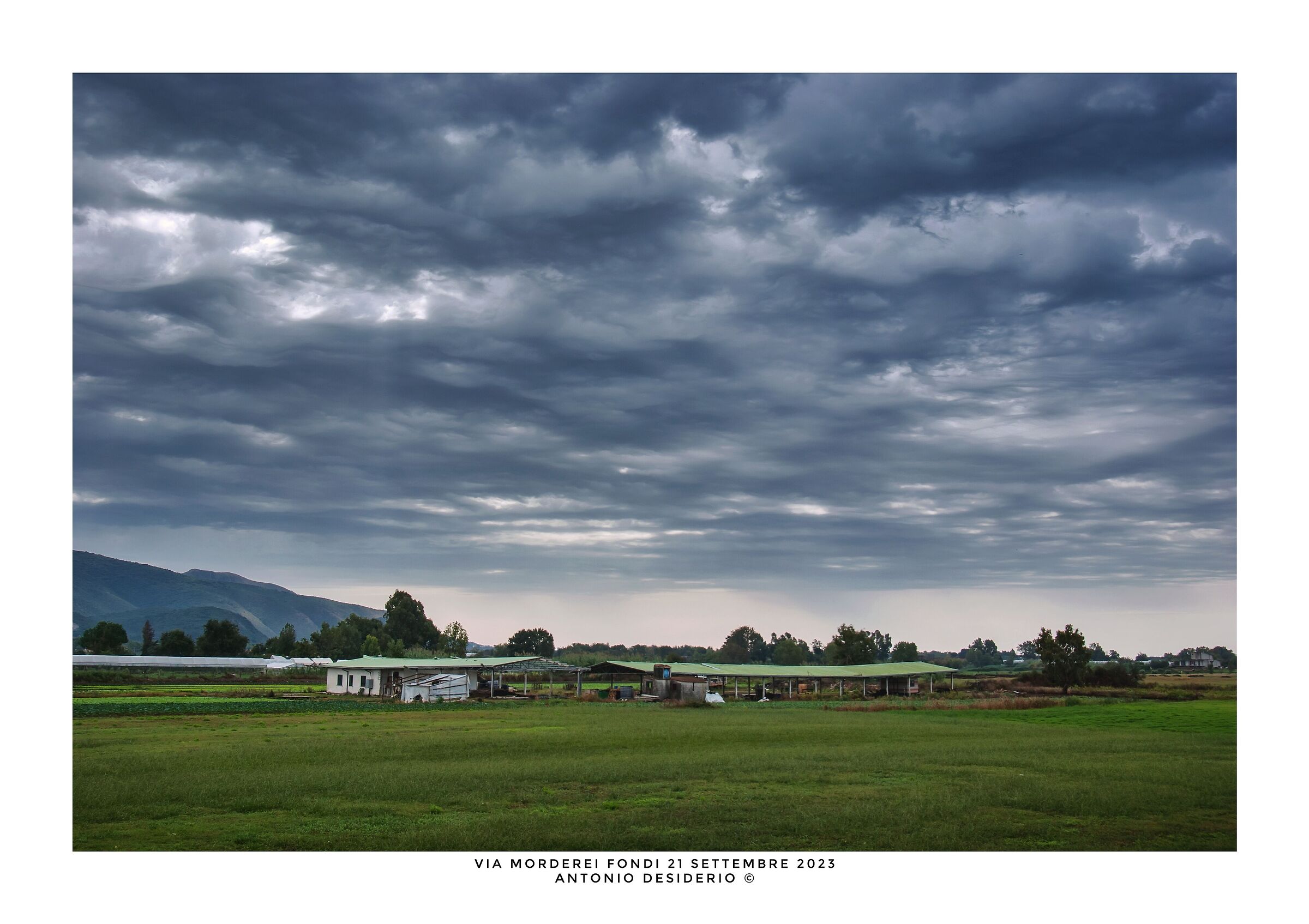 On a morning of rain