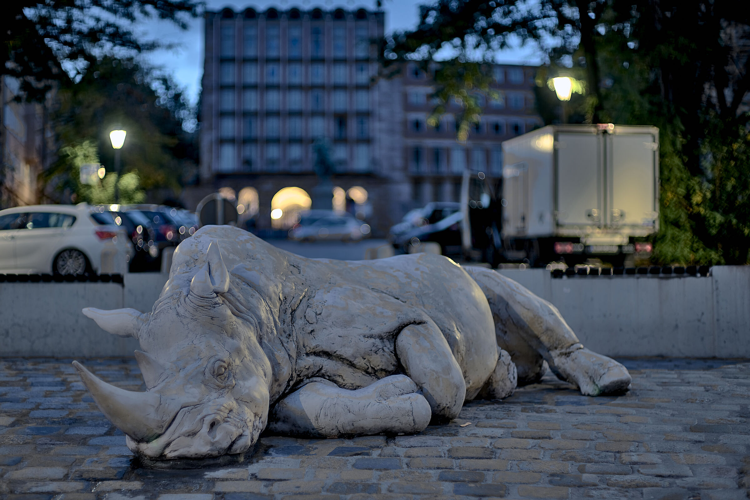 Rinoceronte dormiente, Dorota Adriano, 2016