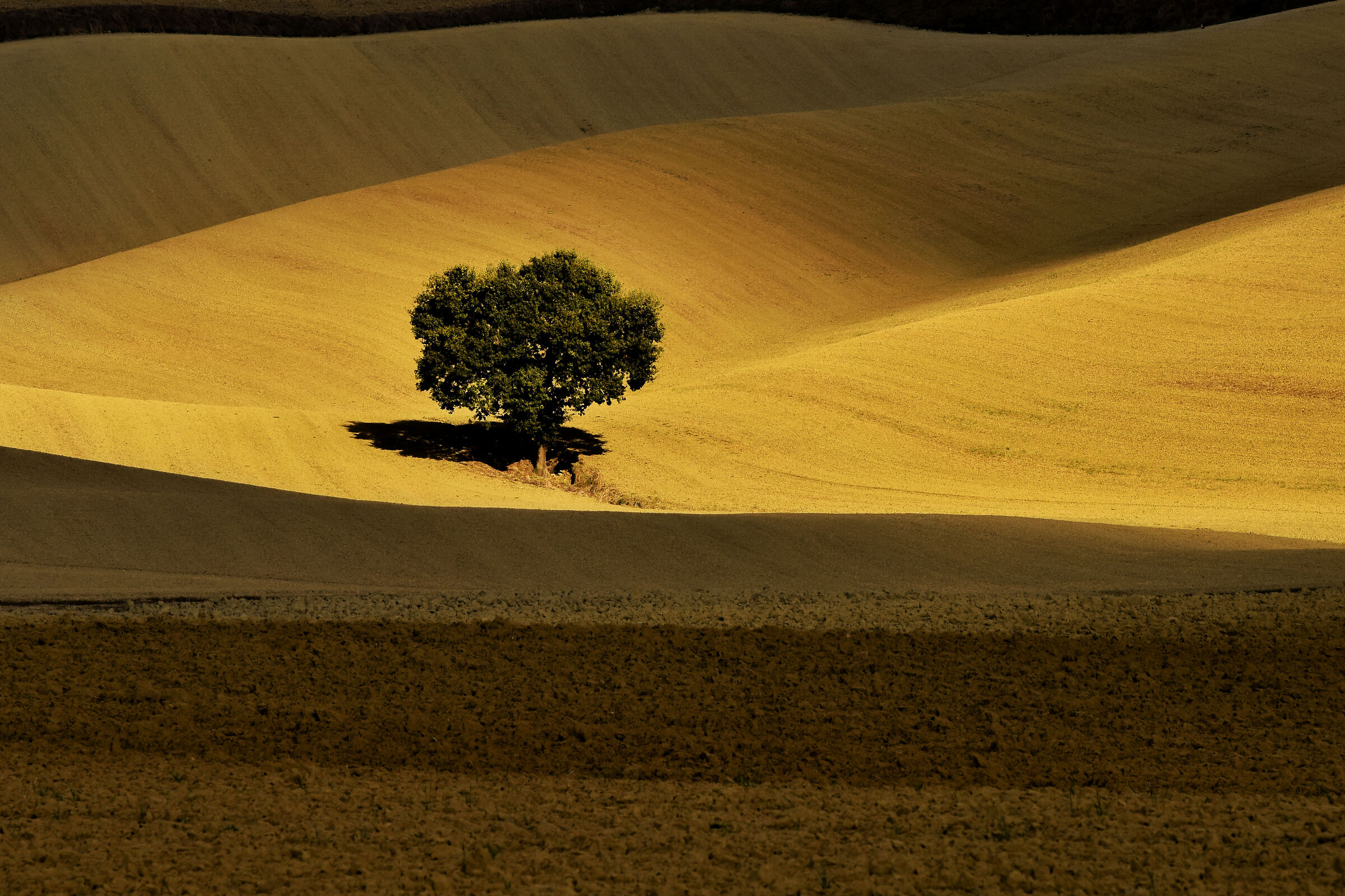 tra luci e ombre...