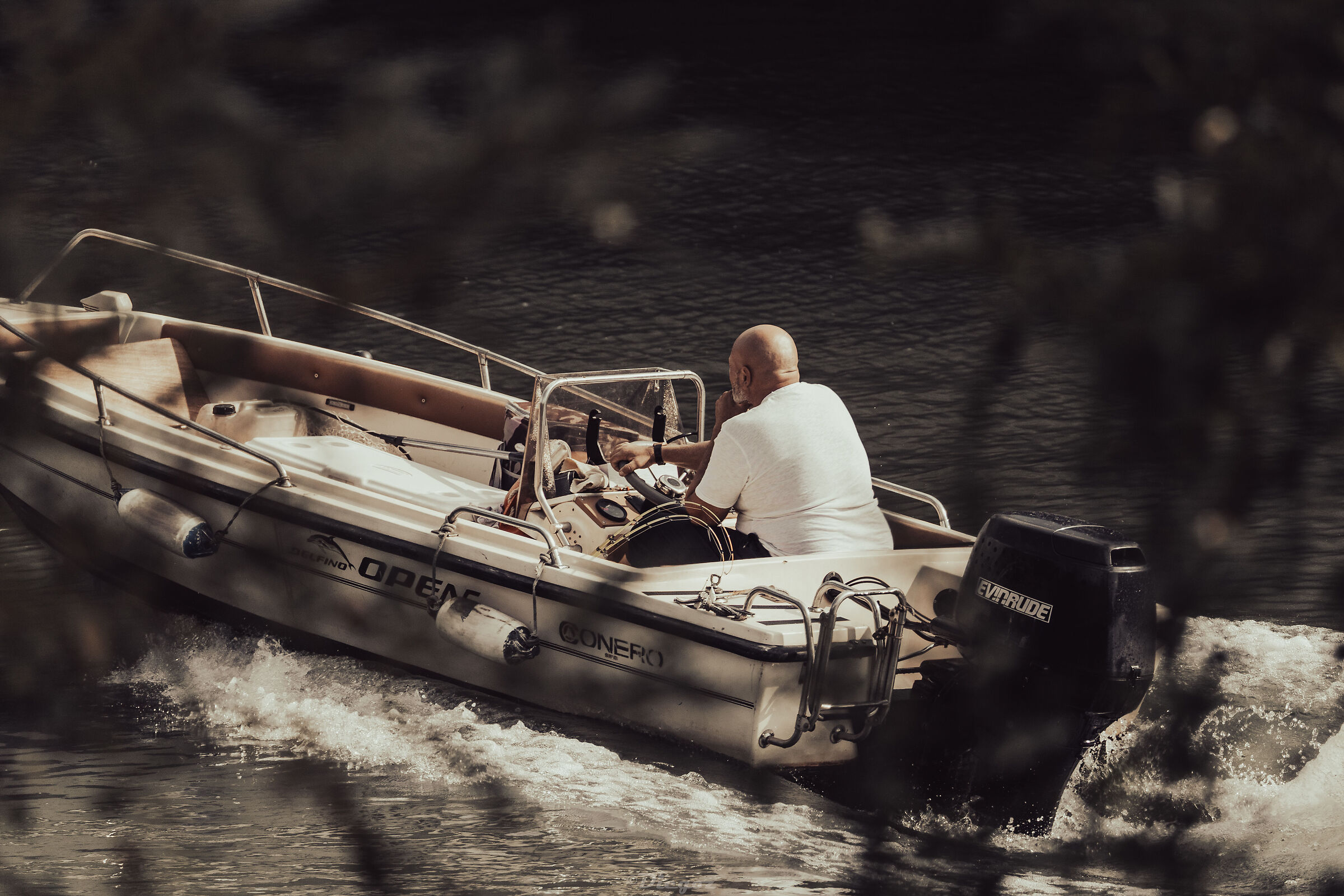 Untitled Photo