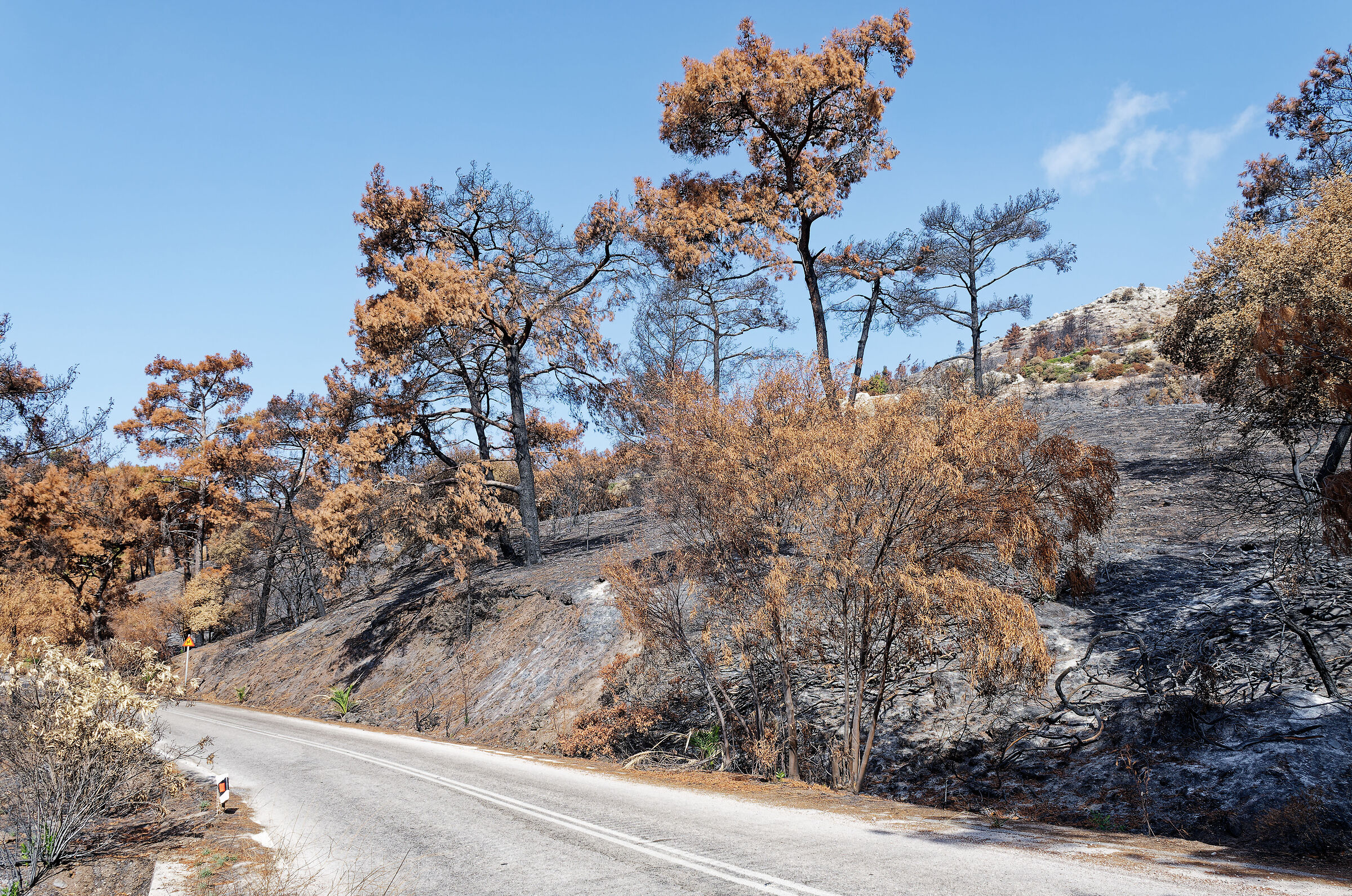Rhodes Fire
