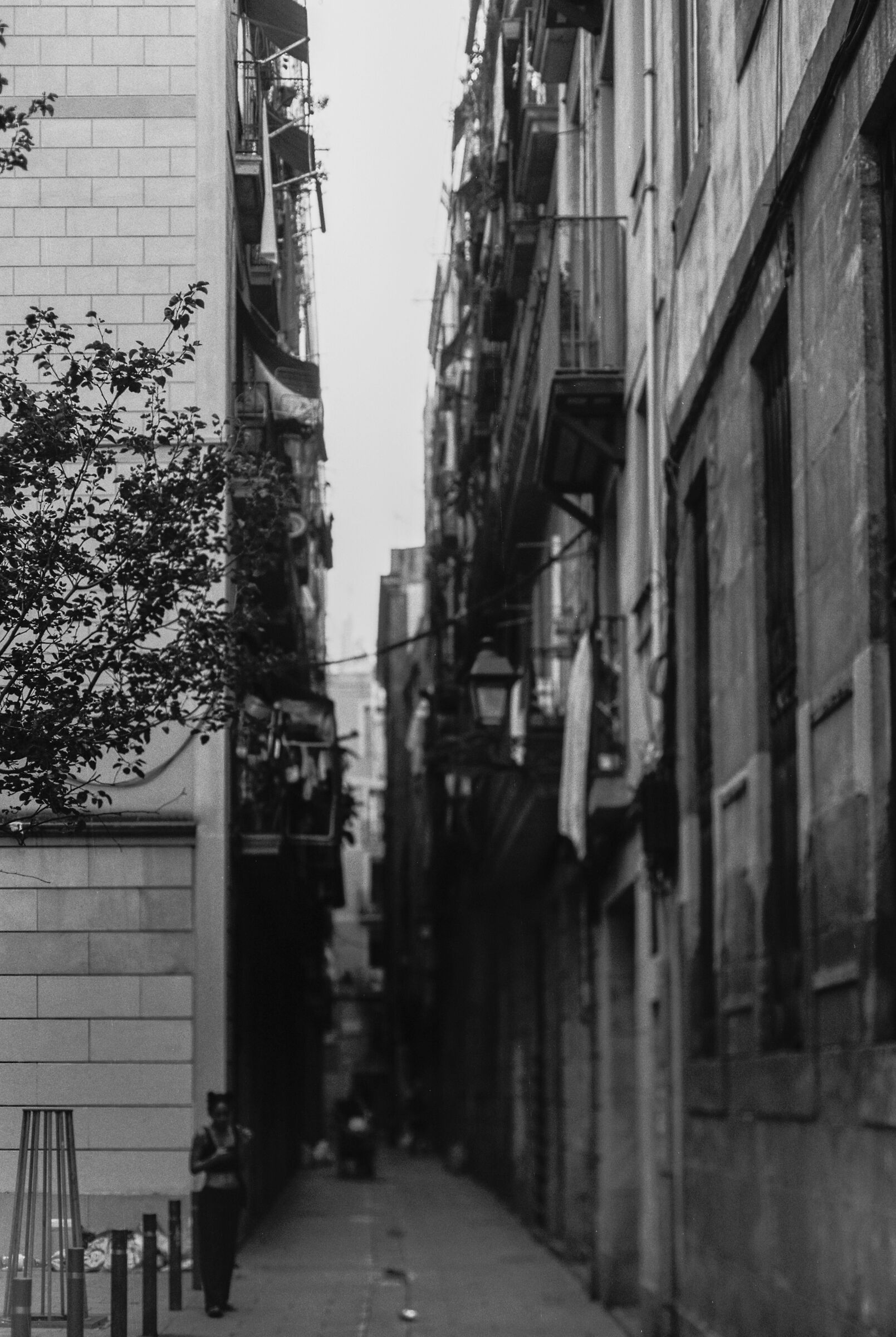 Tra i vicoli del Barri Gòtic II