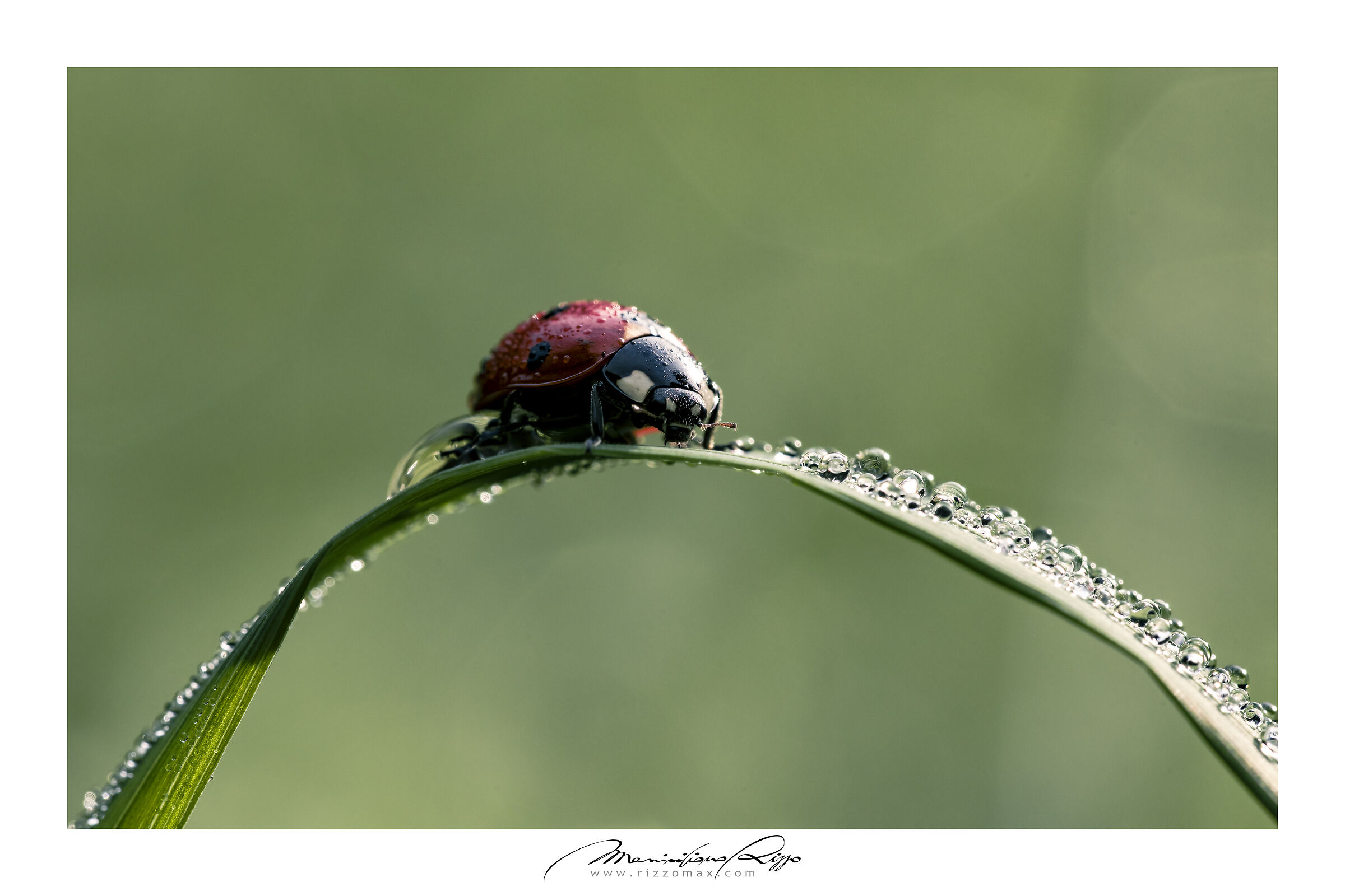 Untitled Photo