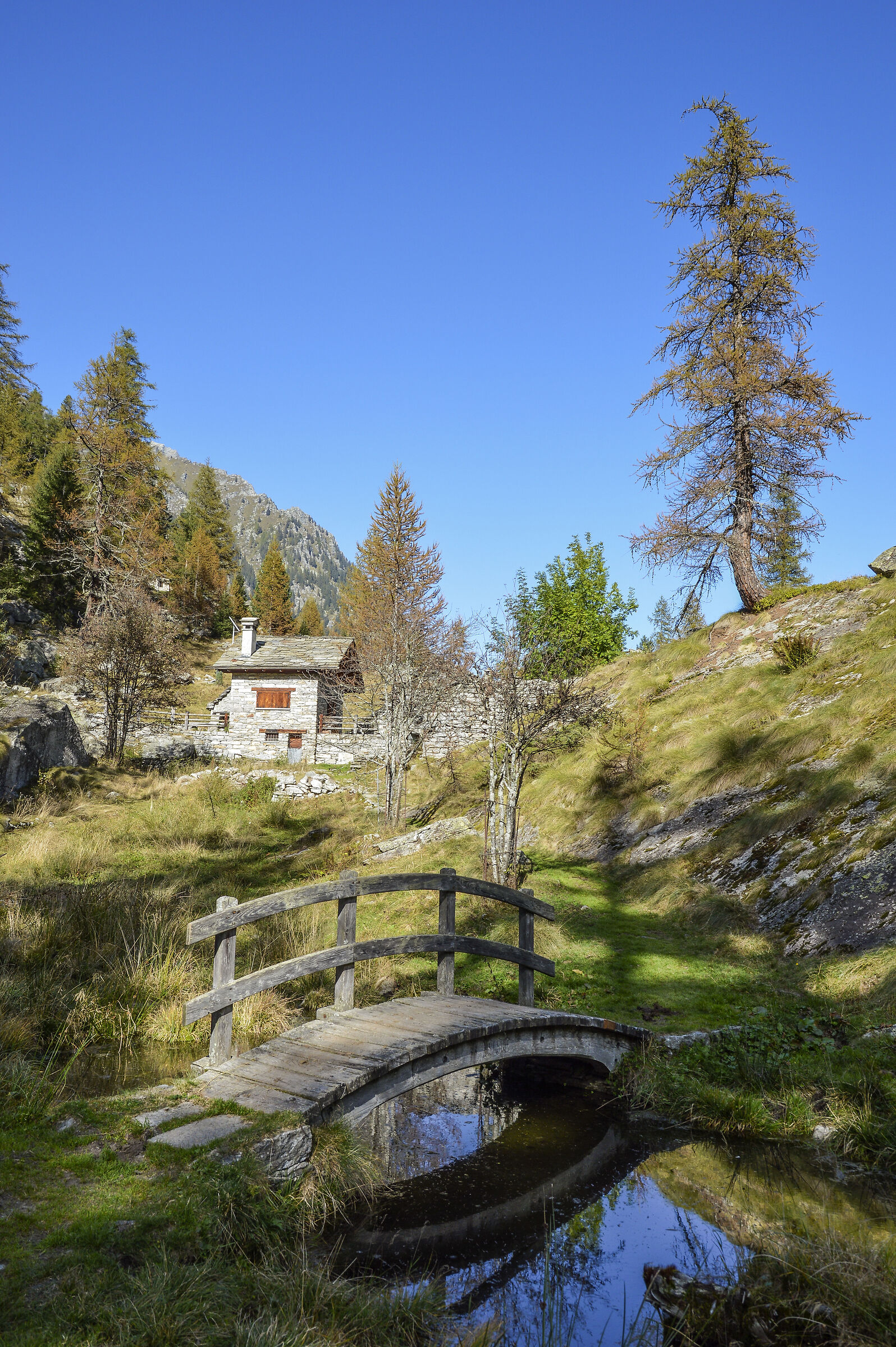 Alpe Granarioli ( lago di Campliccioli )