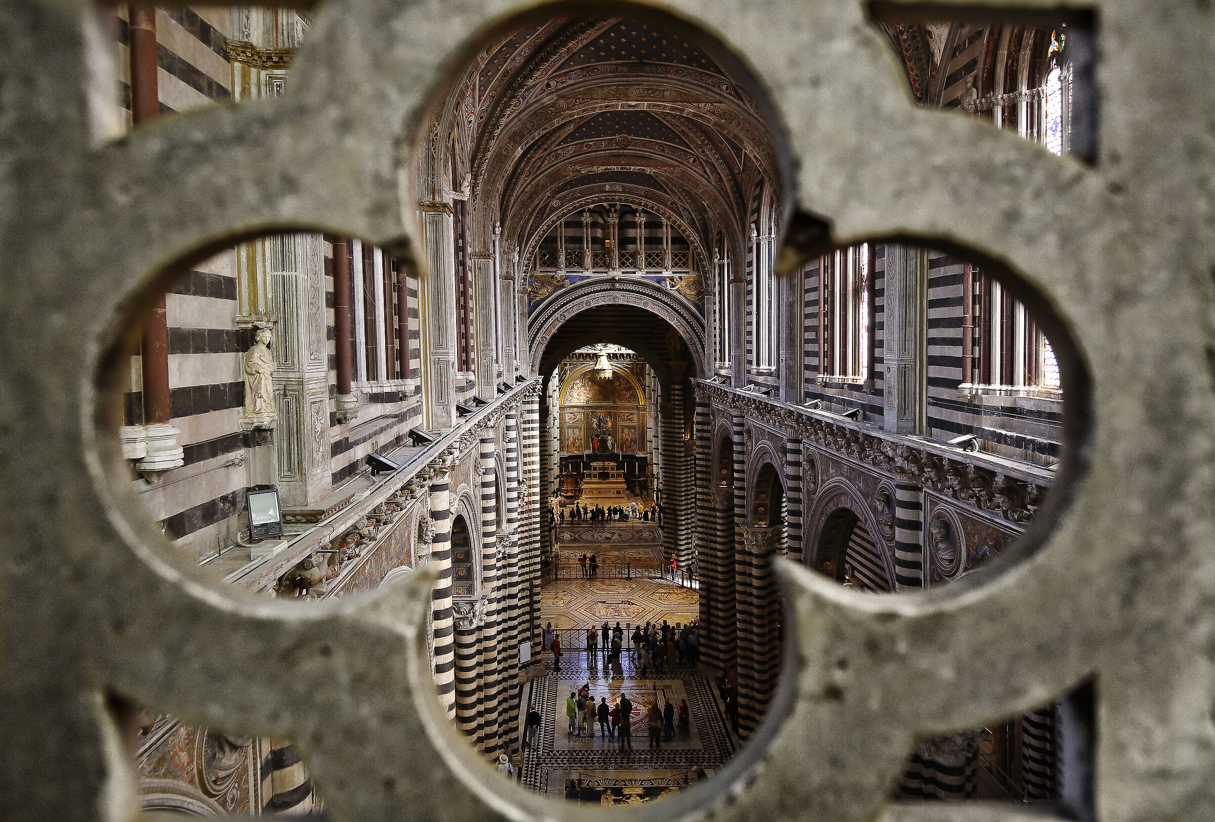 Come stelle in terra