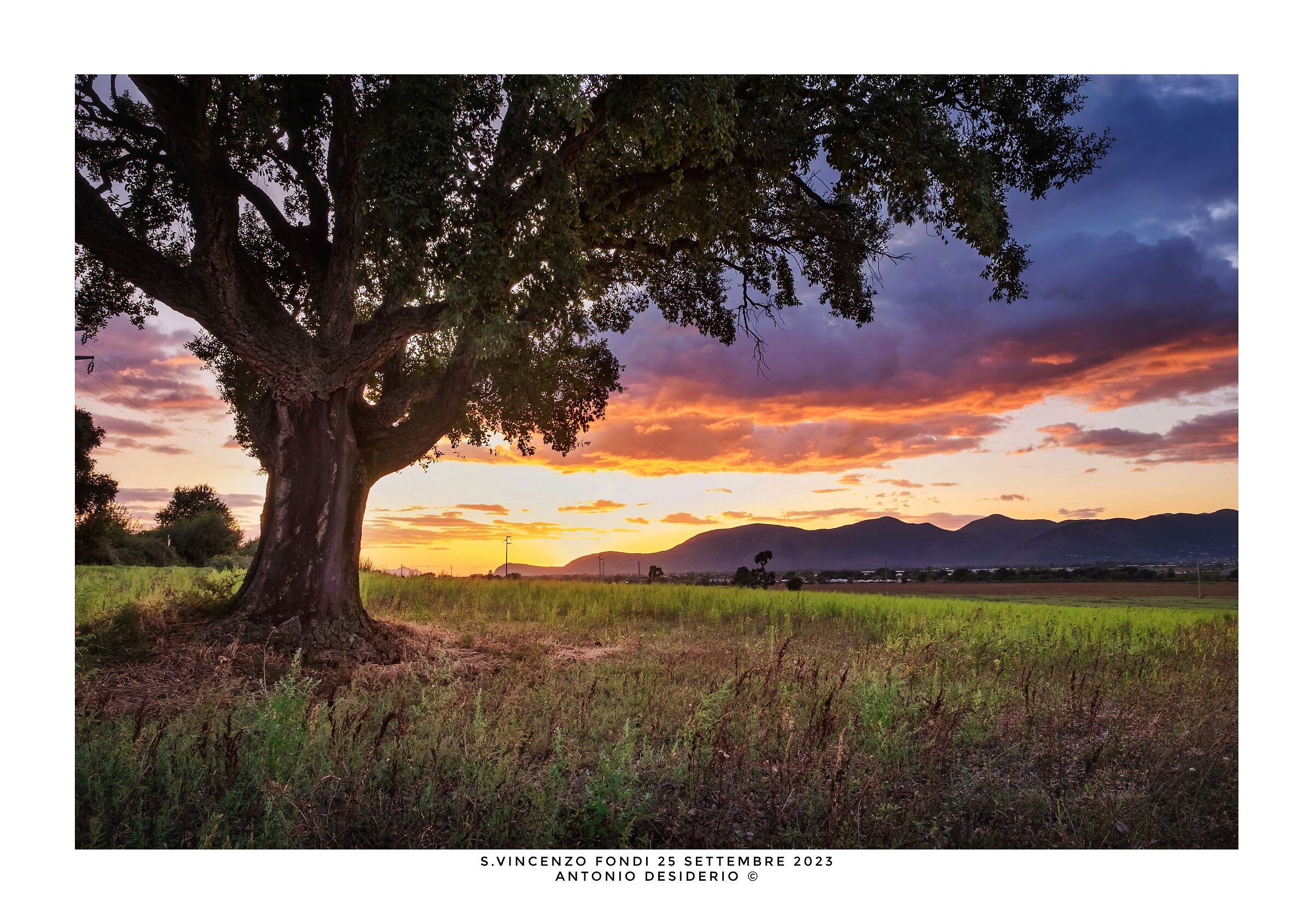 A late summer afternoon...